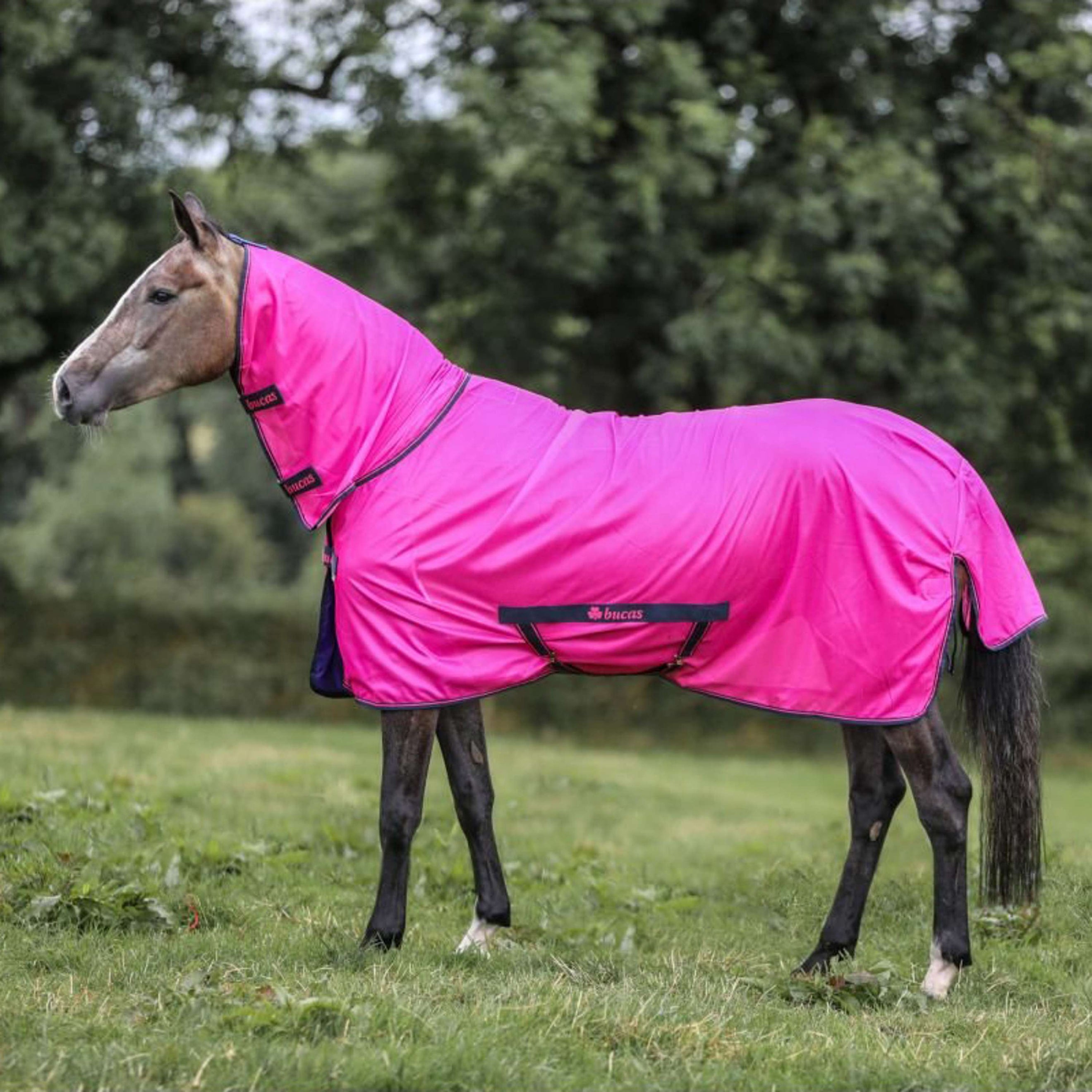 Bucas Freedom Fly Rug Fuchsia