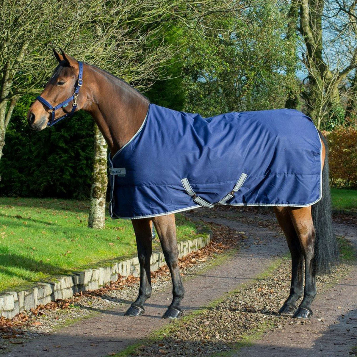 Bucas Freedom Stable Rug 300g Navy