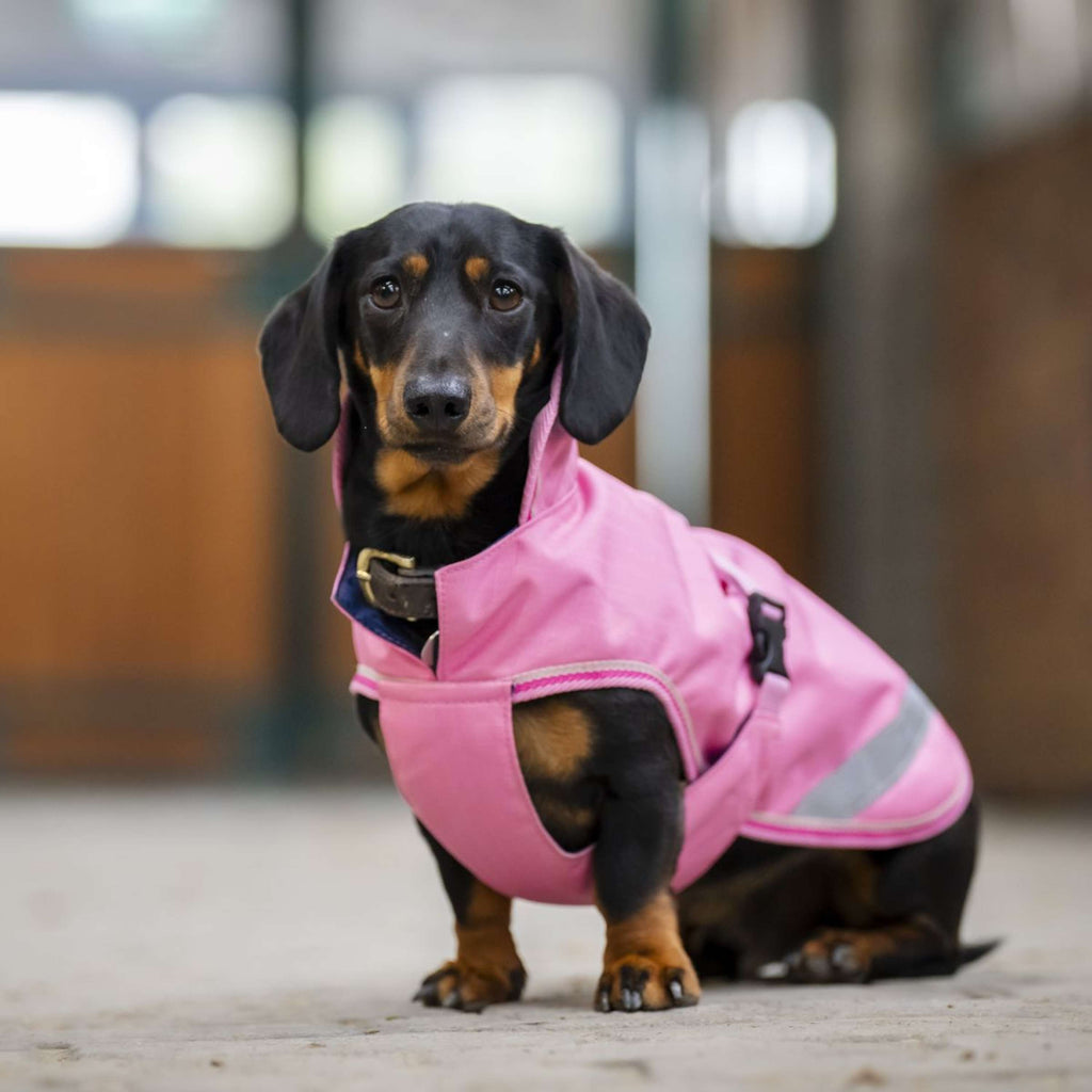 Bucas Freedom Dog Rug Aurora Pink