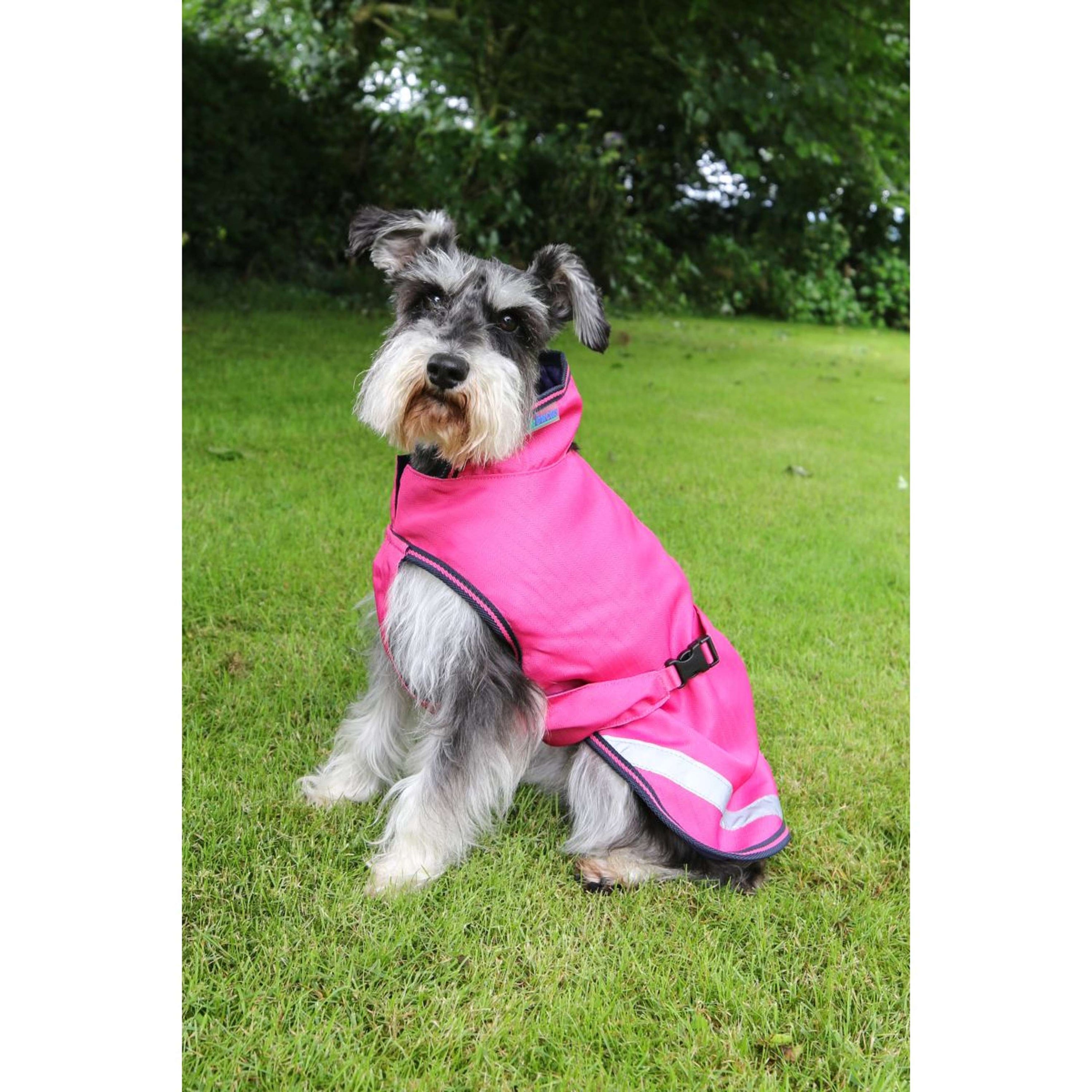 Bucas Freedom Dog Rug 50g Fuchsia