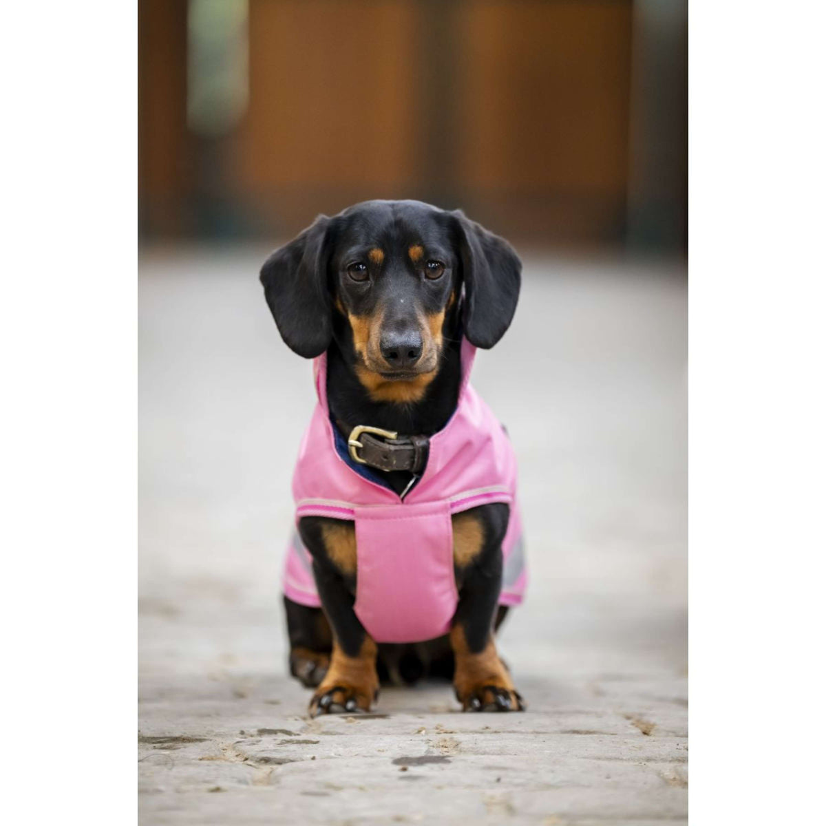 Bucas Freedom Dog Rug Aurora Pink