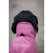Bucas Freedom Dog Rug Aurora Pink