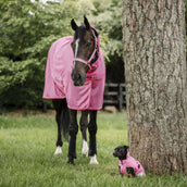 Bucas Freedom Fly Sheet Full Neck Aurora Pink
