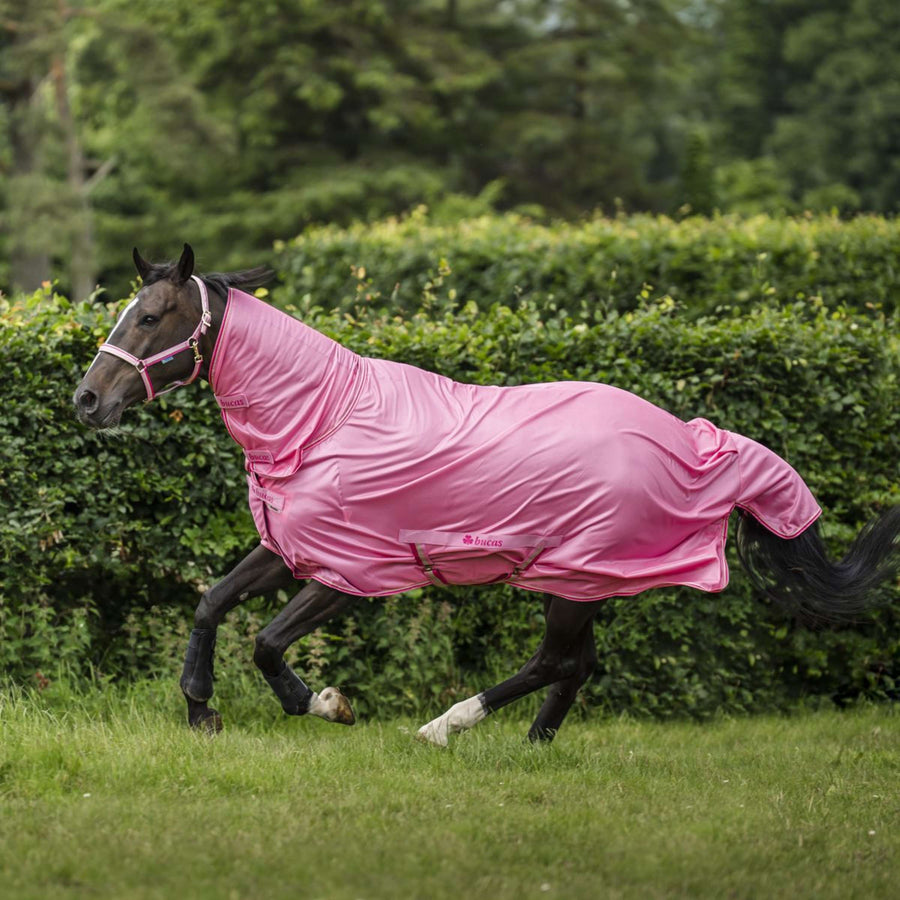 Bucas Freedom Fly Sheet Full Neck Aurora Pink