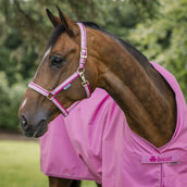 Bucas Halter Dublin Foal Aurora Pink