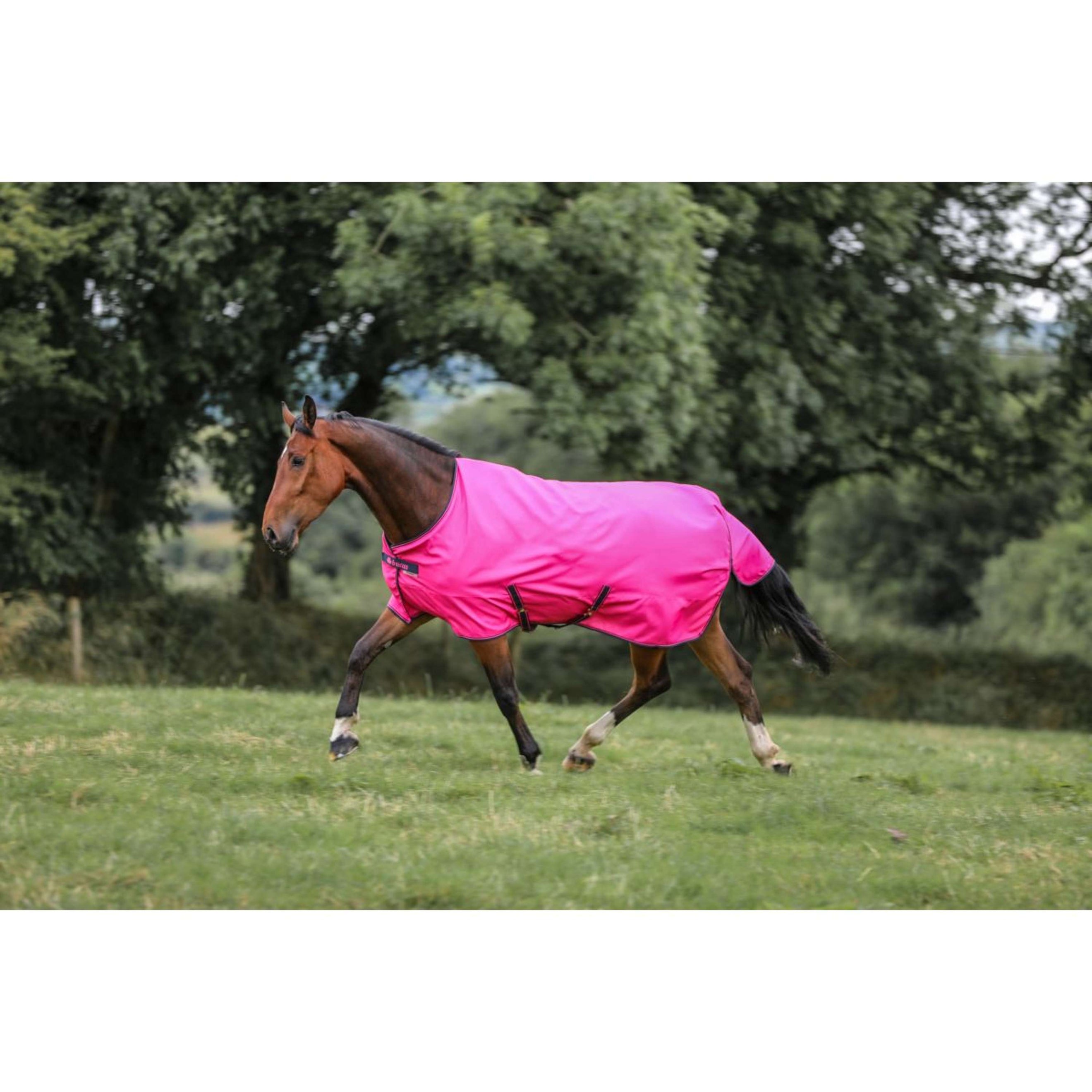 Bucas Freedom Turnout Light 0g Fuchsia