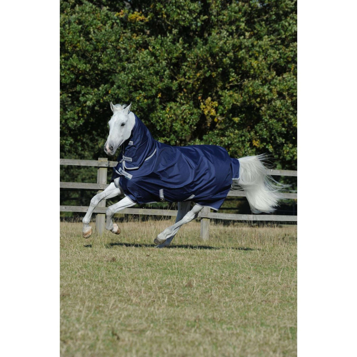 Bucas Freedom Turnout Full Neck 300g Navy/Silver