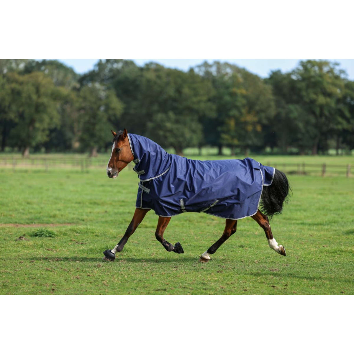 Bucas Freedom Turnout Full Neck 300g Navy/Silver