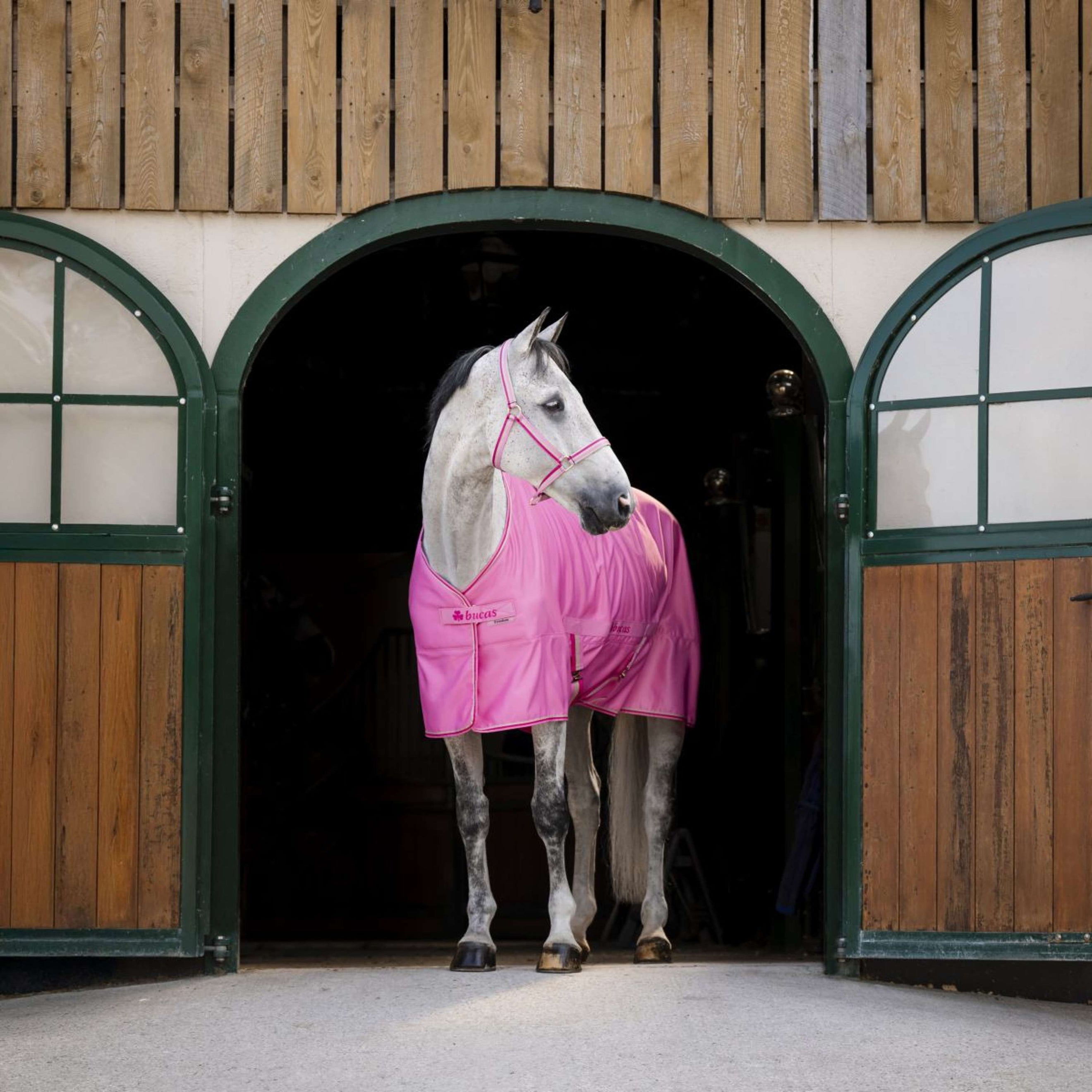 Bucas Freedom Twill Sheet 0g Aurora Pink