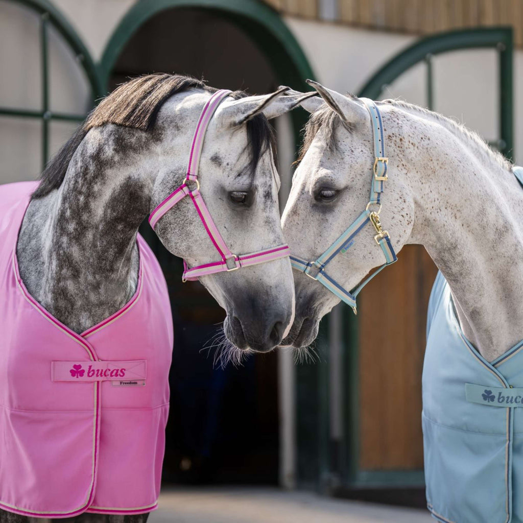 Bucas Halter Dublin Turquoise