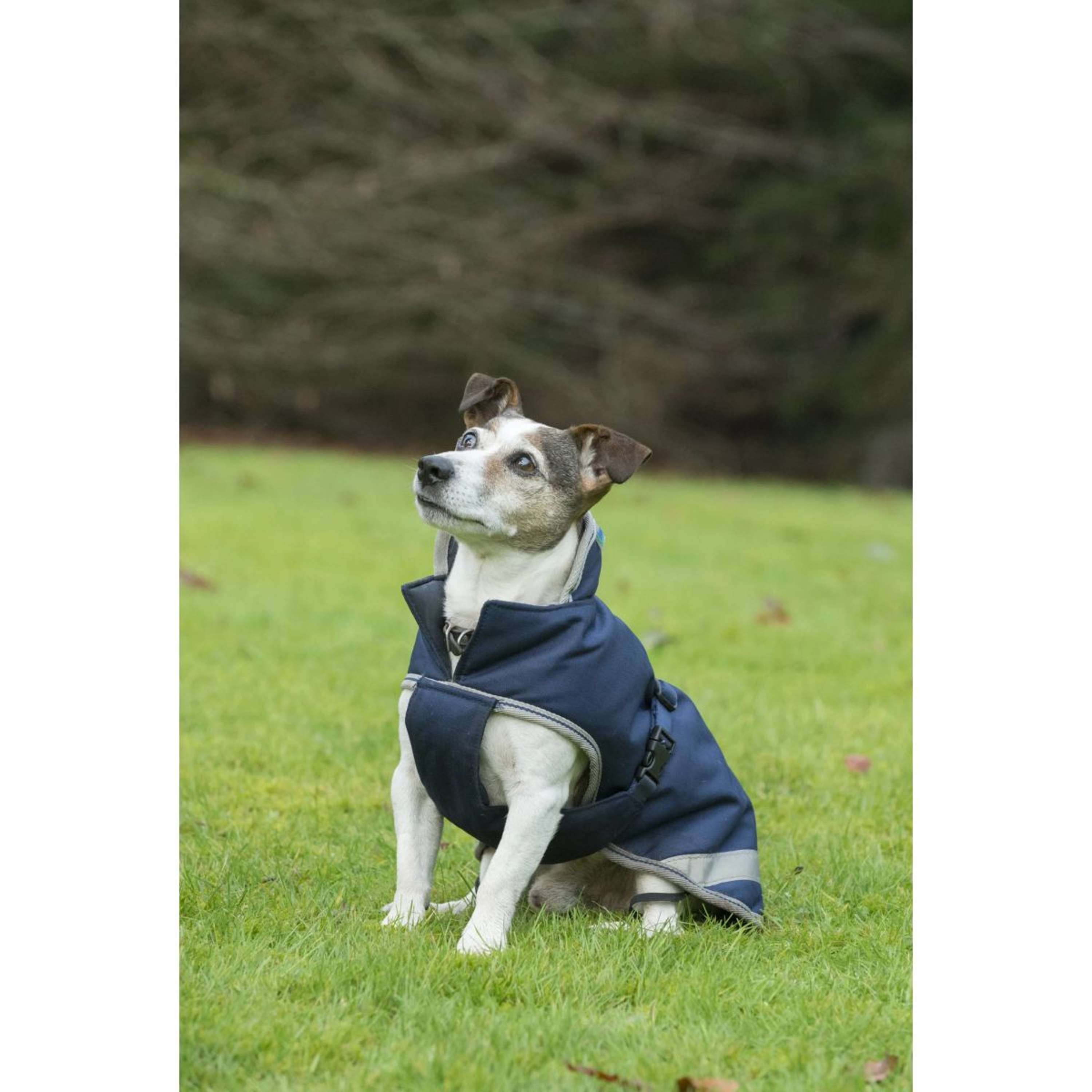 Bucas Freedom Dog Rug 150g Navy