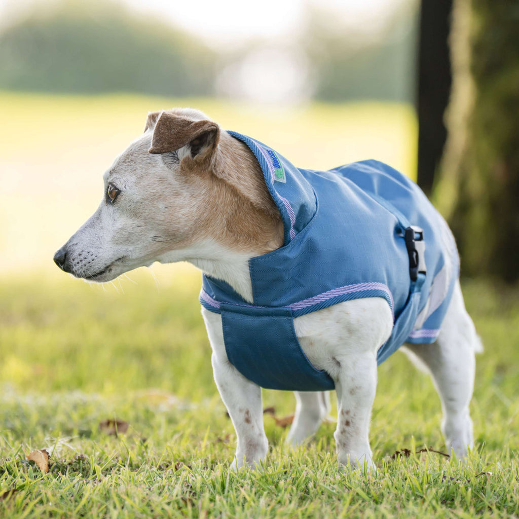 Bucas Freedom Dog Rug 300g Blueberry