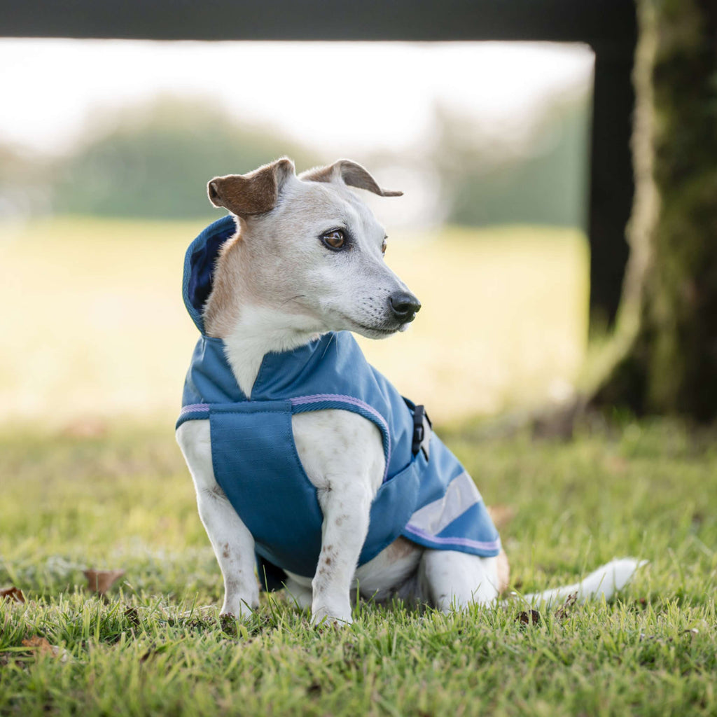 Bucas Freedom Dog Rug 300g Blueberry