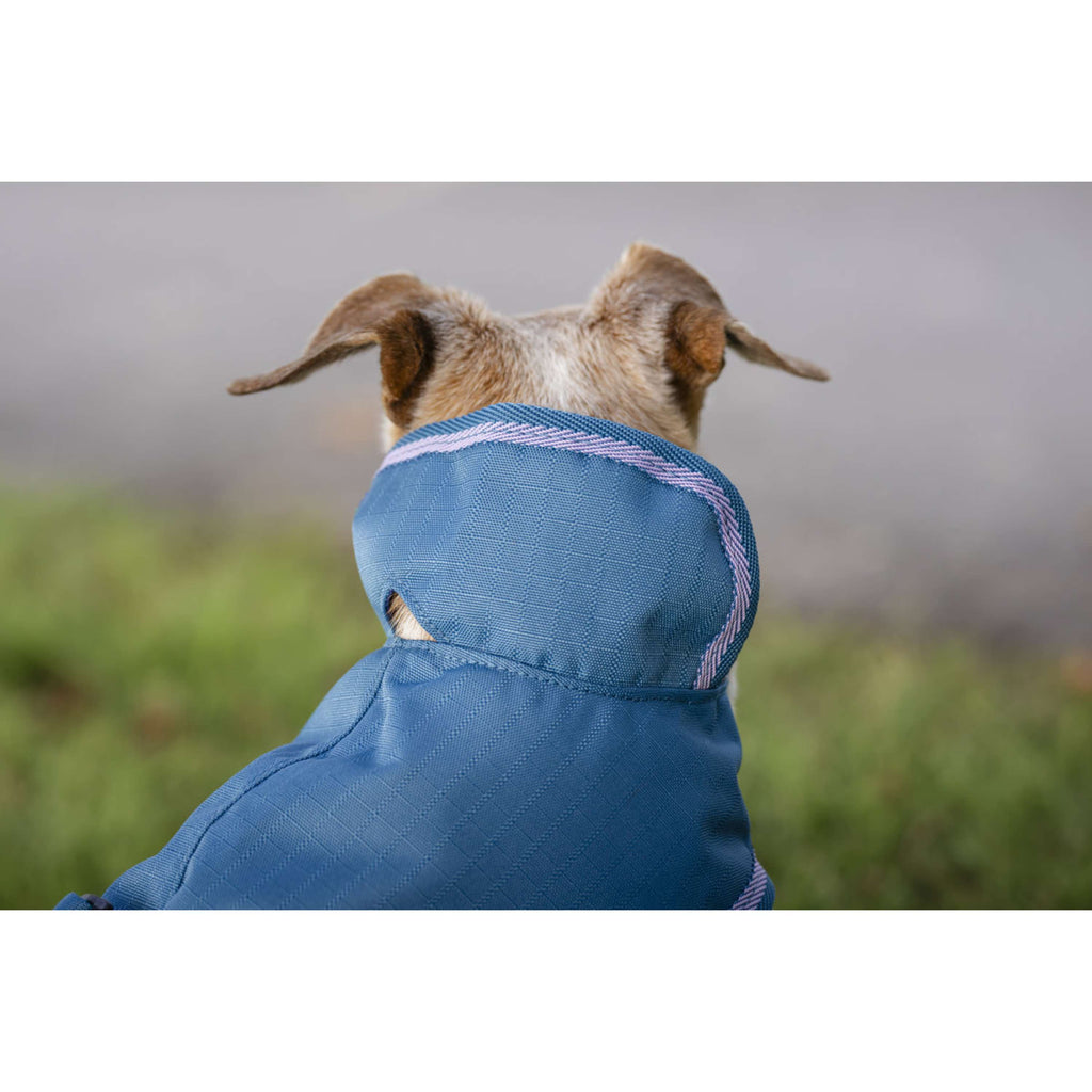 Bucas Freedom Dog Rug 300g Blueberry