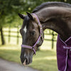 Bucas Halter Dublin Blackberry