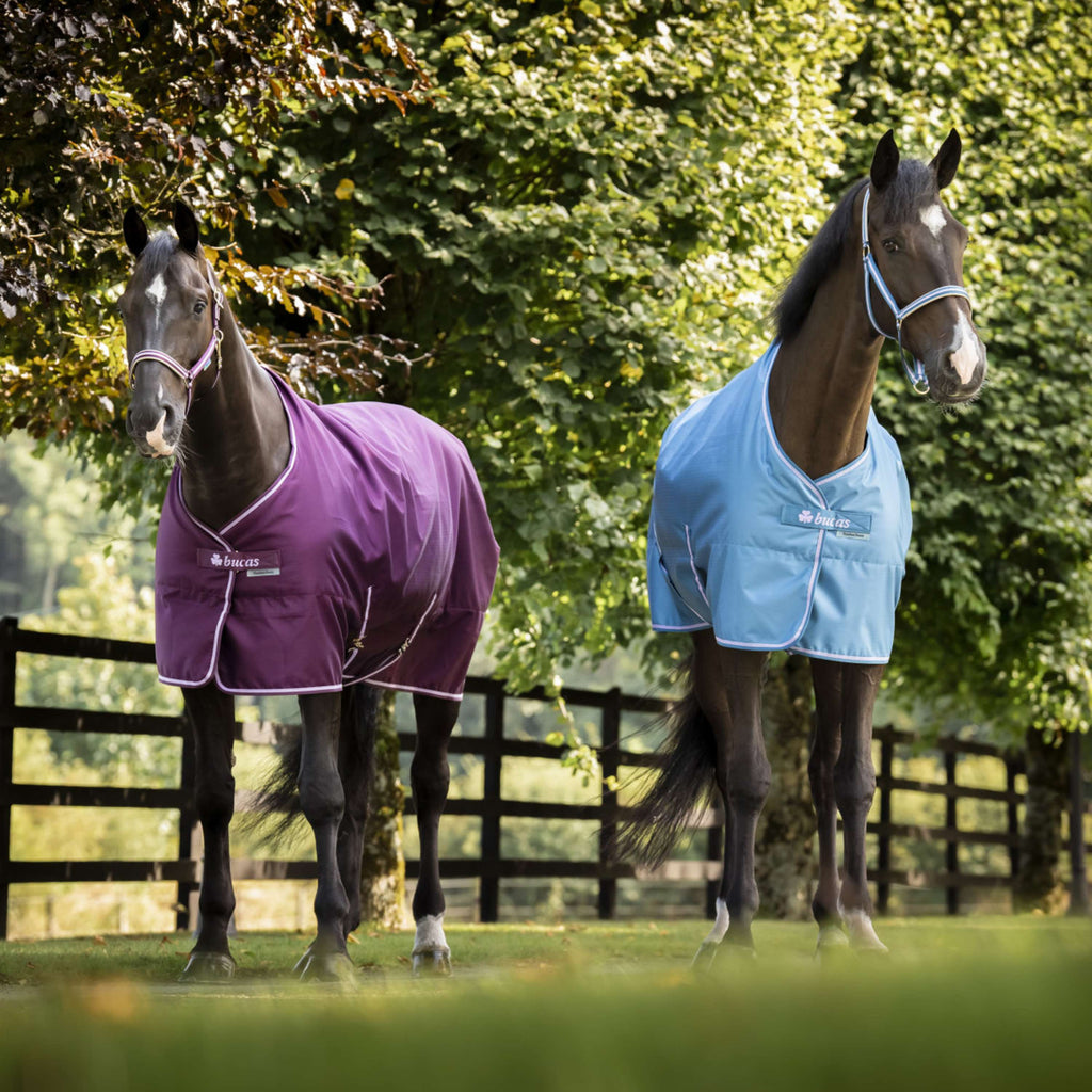 Bucas Freedom Stable Rug 150g Blackberry