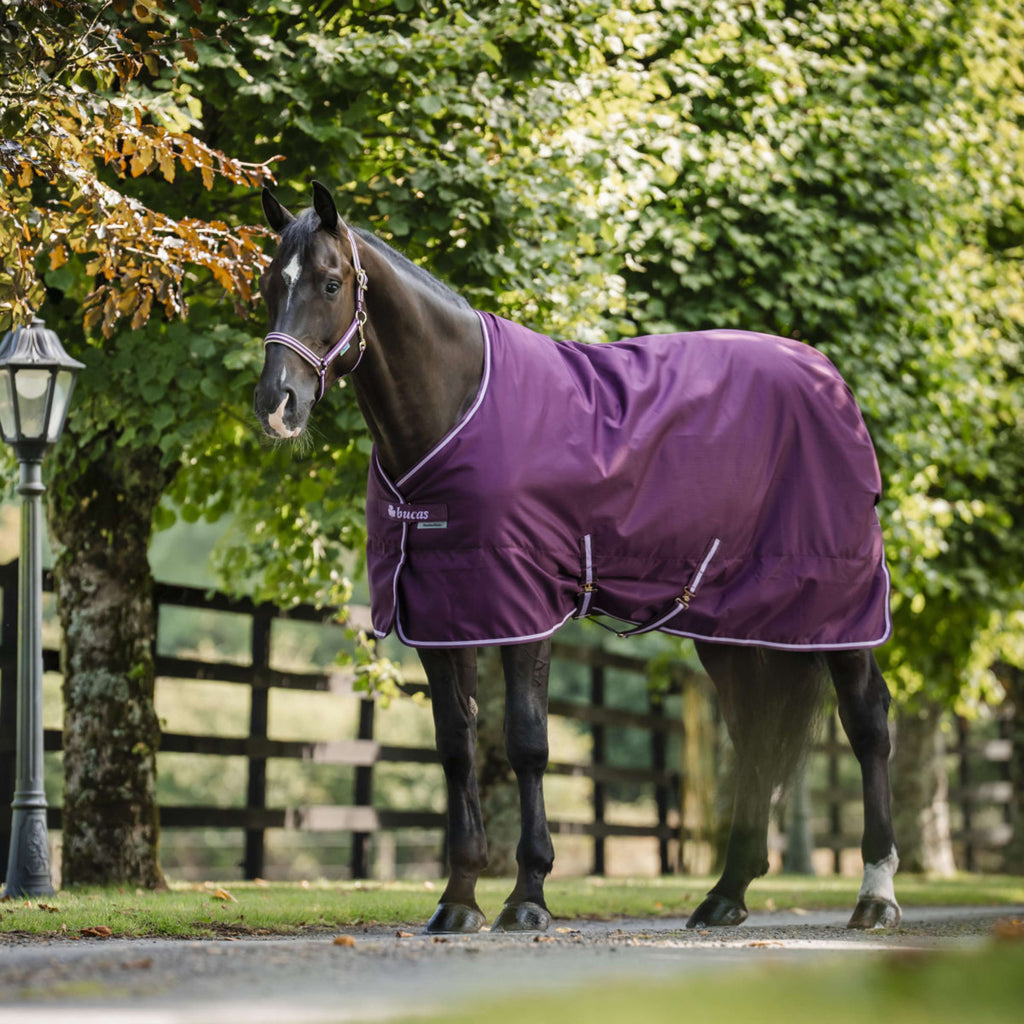 Bucas Freedom Stable Rug 150g Blackberry