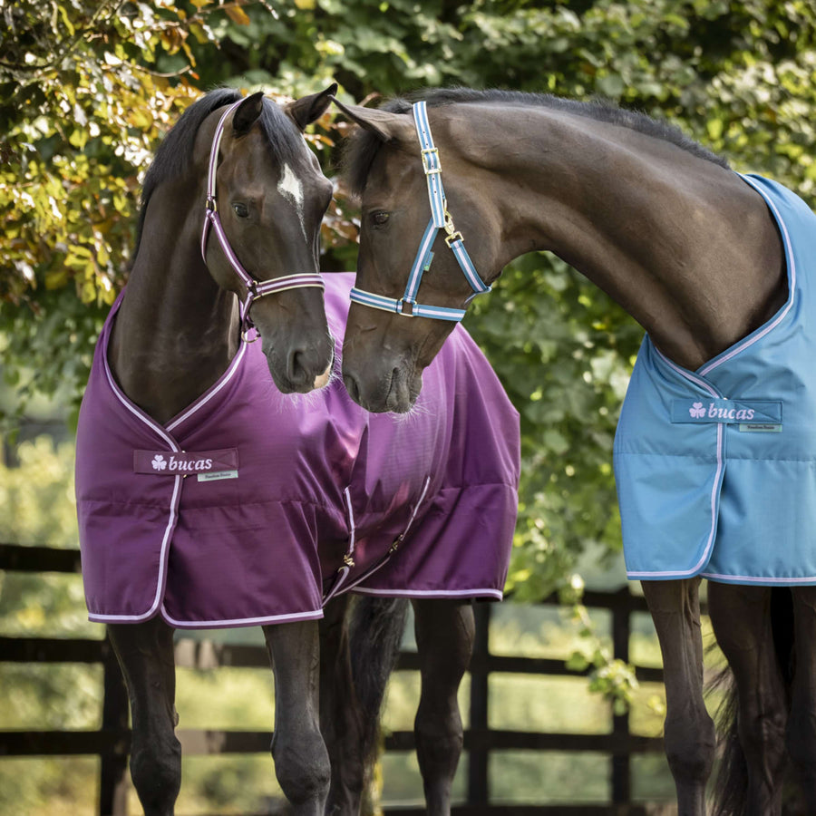 Bucas Freedom Stable Rug 150g Blueberry