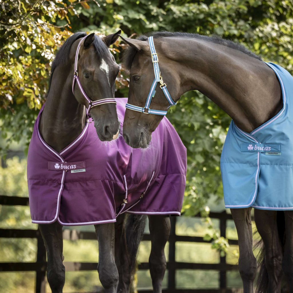 Bucas Freedom Stable Rug 300g Blueberry