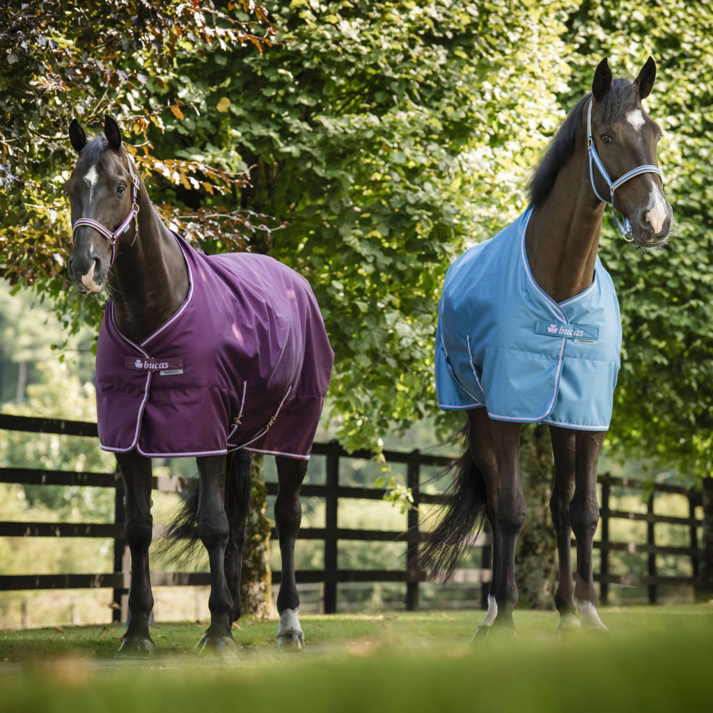 Bucas Freedom Stable Rug 300g Blueberry
