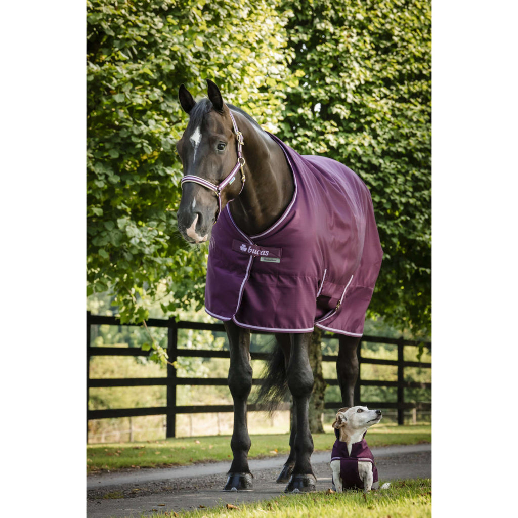 Bucas Freedom Stable Rug 300g Blackberry