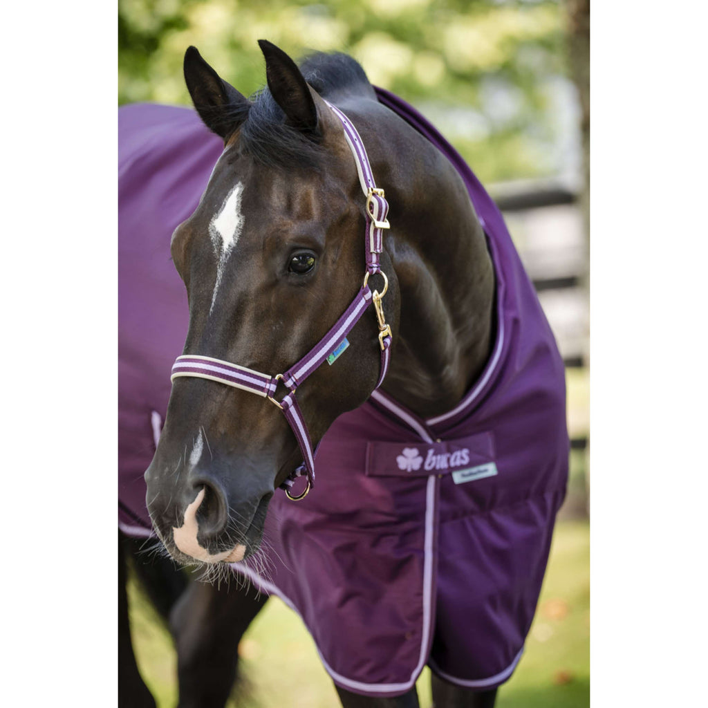 Bucas Freedom Stable Rug 150g Blackberry