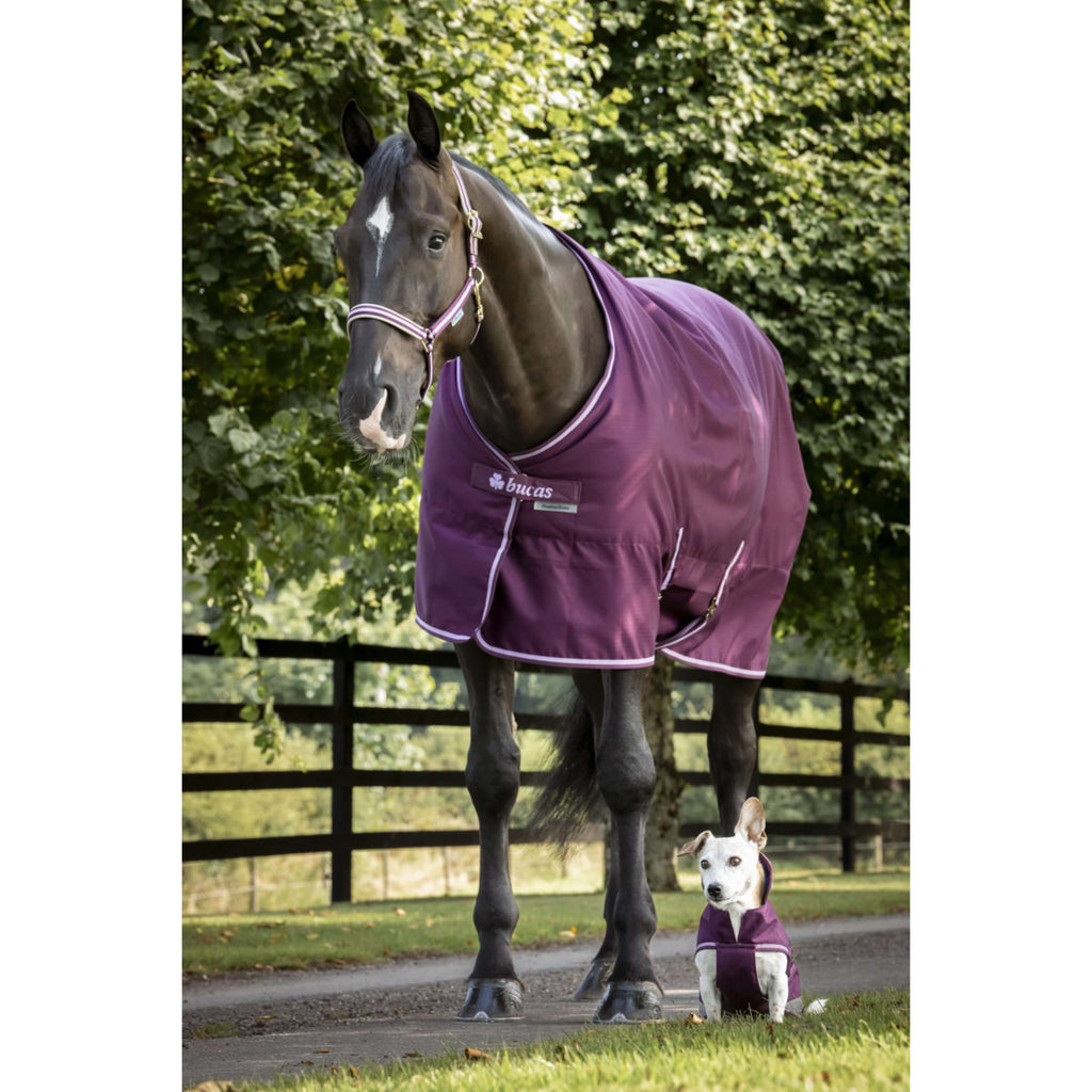 Bucas Freedom Dog Rug 300g Blackberry