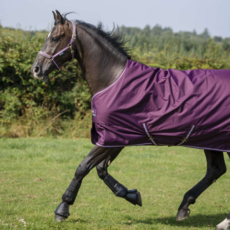Bucas Freedom Turnout 150g Blackberry