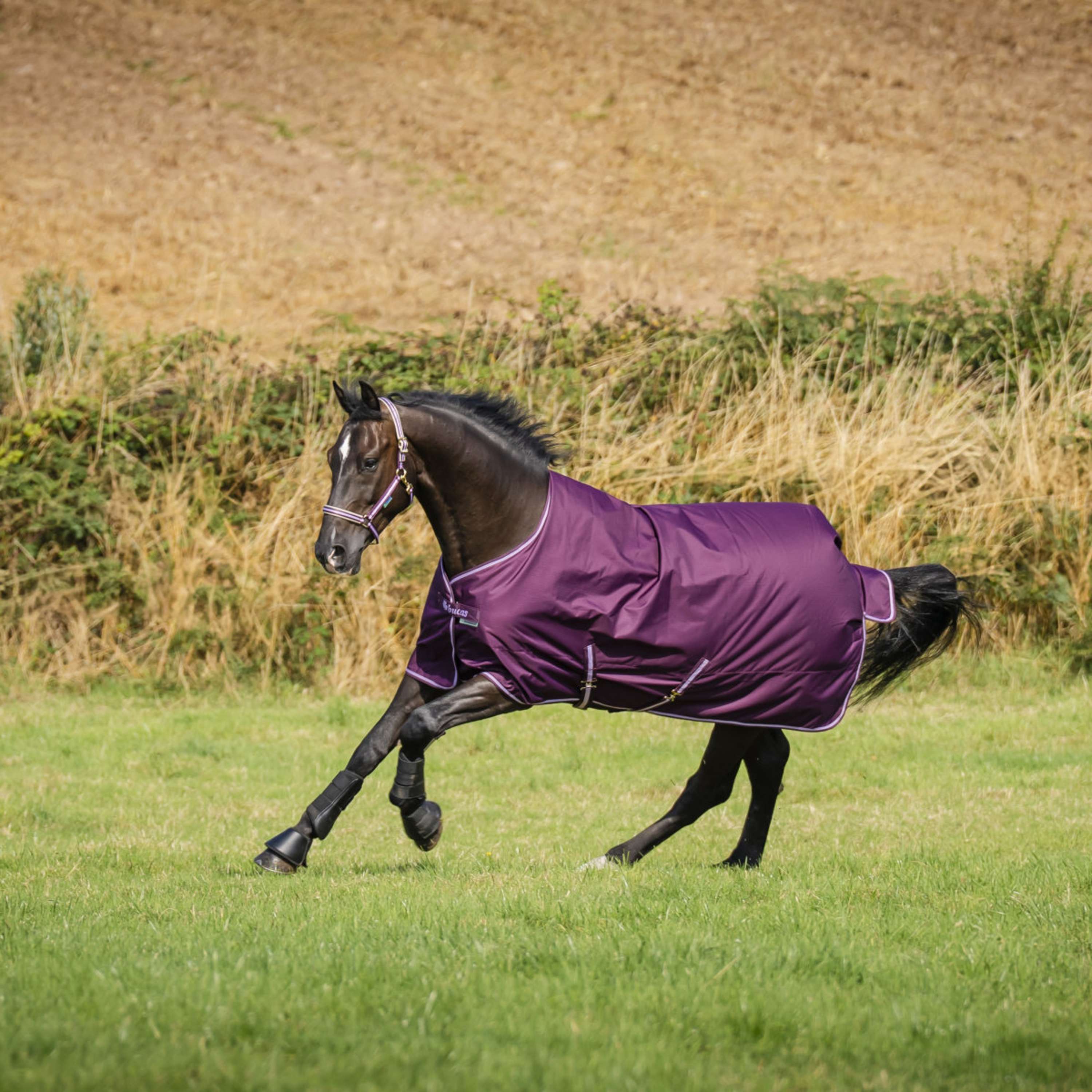 Bucas Freedom Turnout 300g Blackberry
