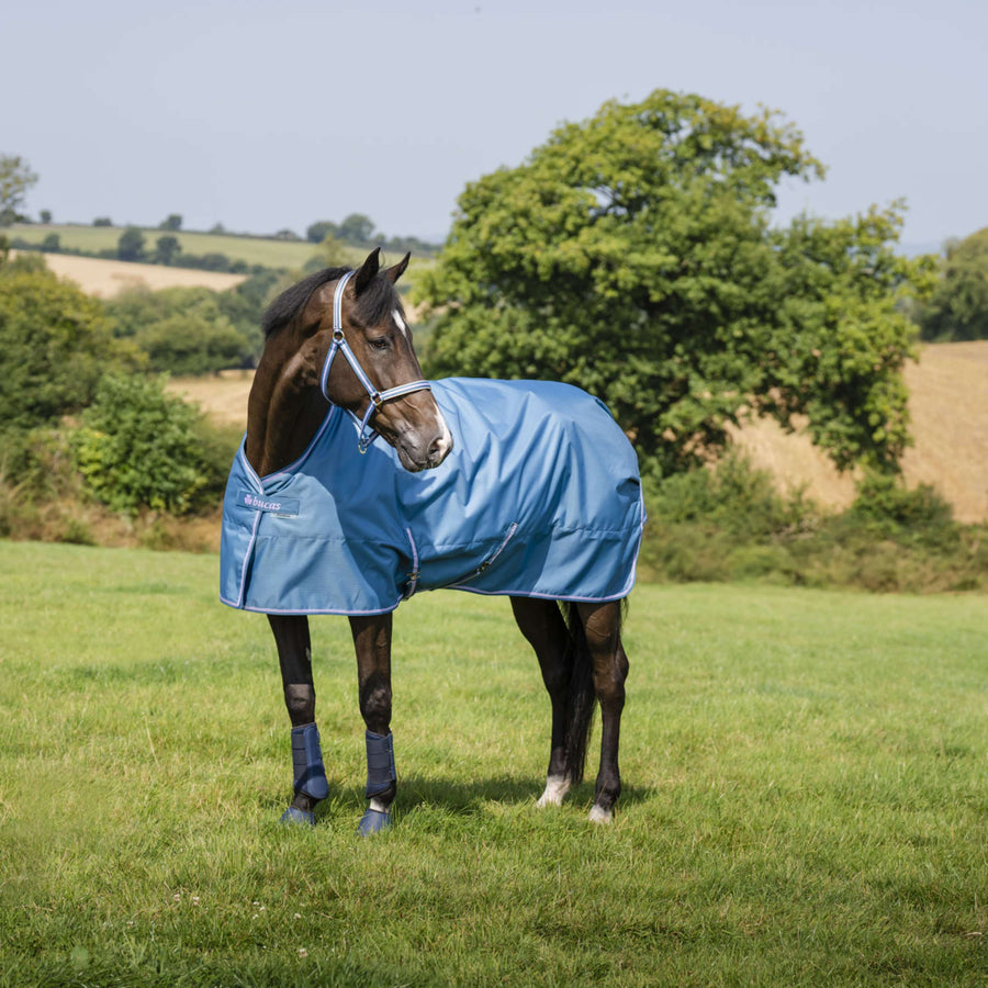 Bucas Halter Dublin Foal Blueberry