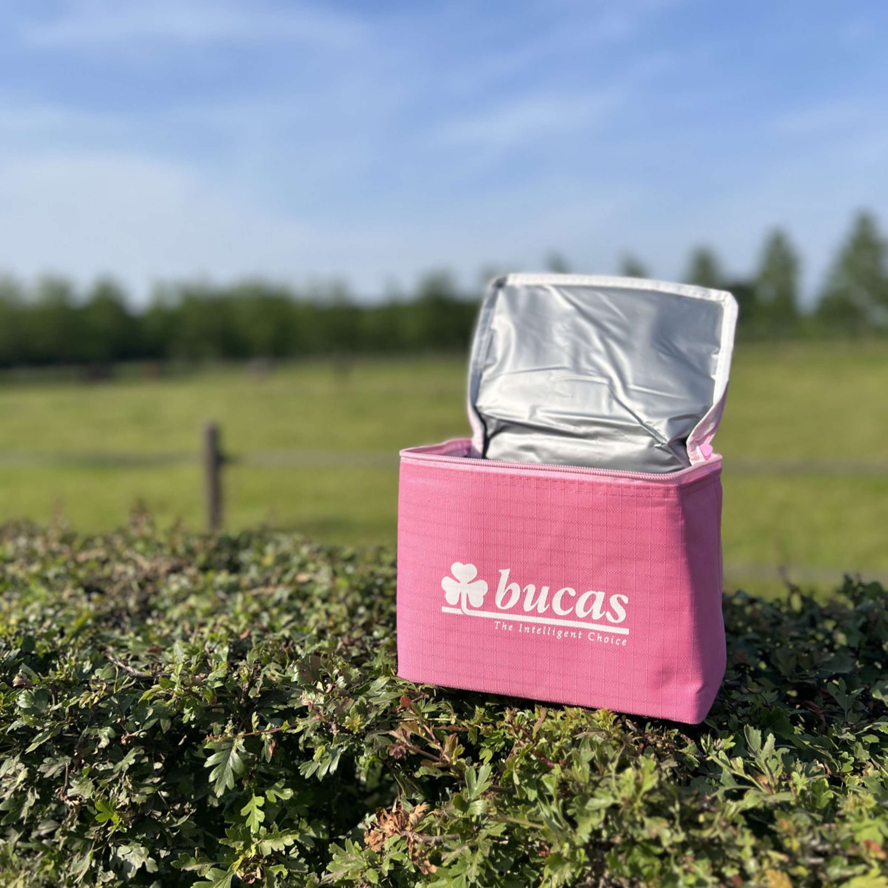 Bucas Cool  Bag Aurora Pink
