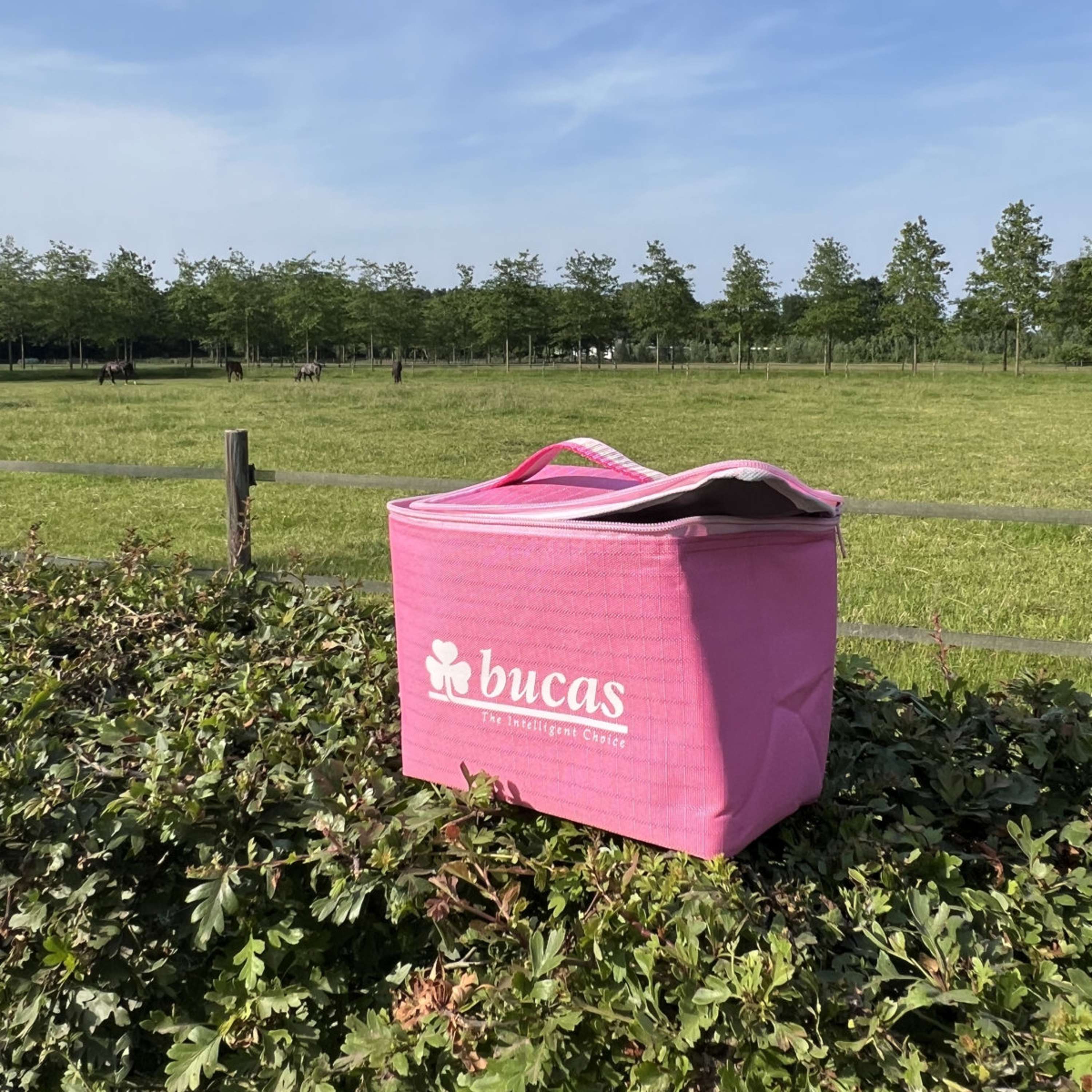 Bucas Cool  Bag Aurora Pink