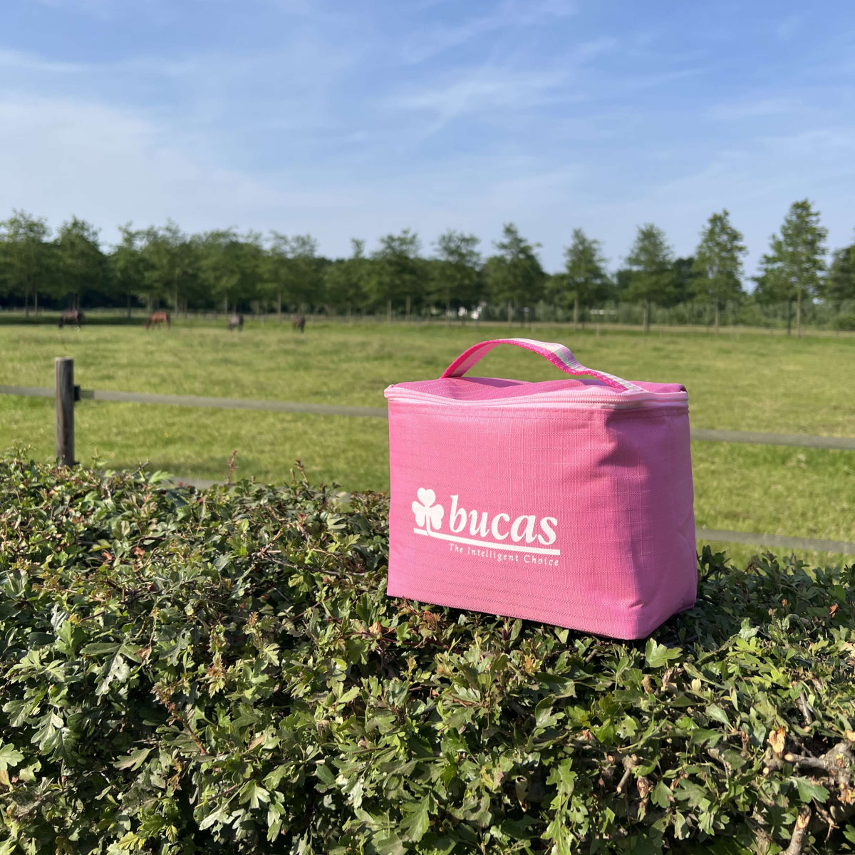 Bucas Cool  Bag Aurora Pink
