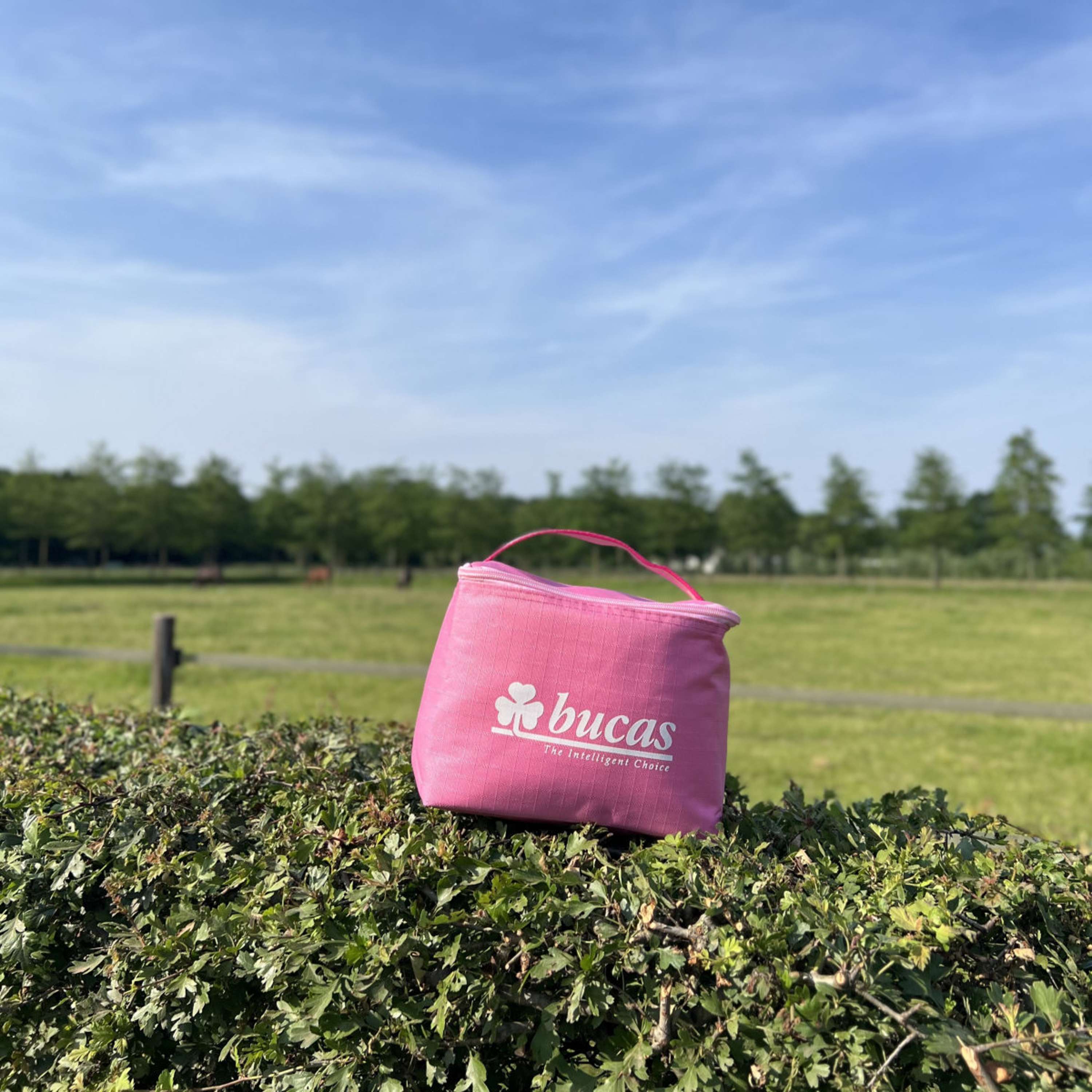 Bucas Cool  Bag Aurora Pink