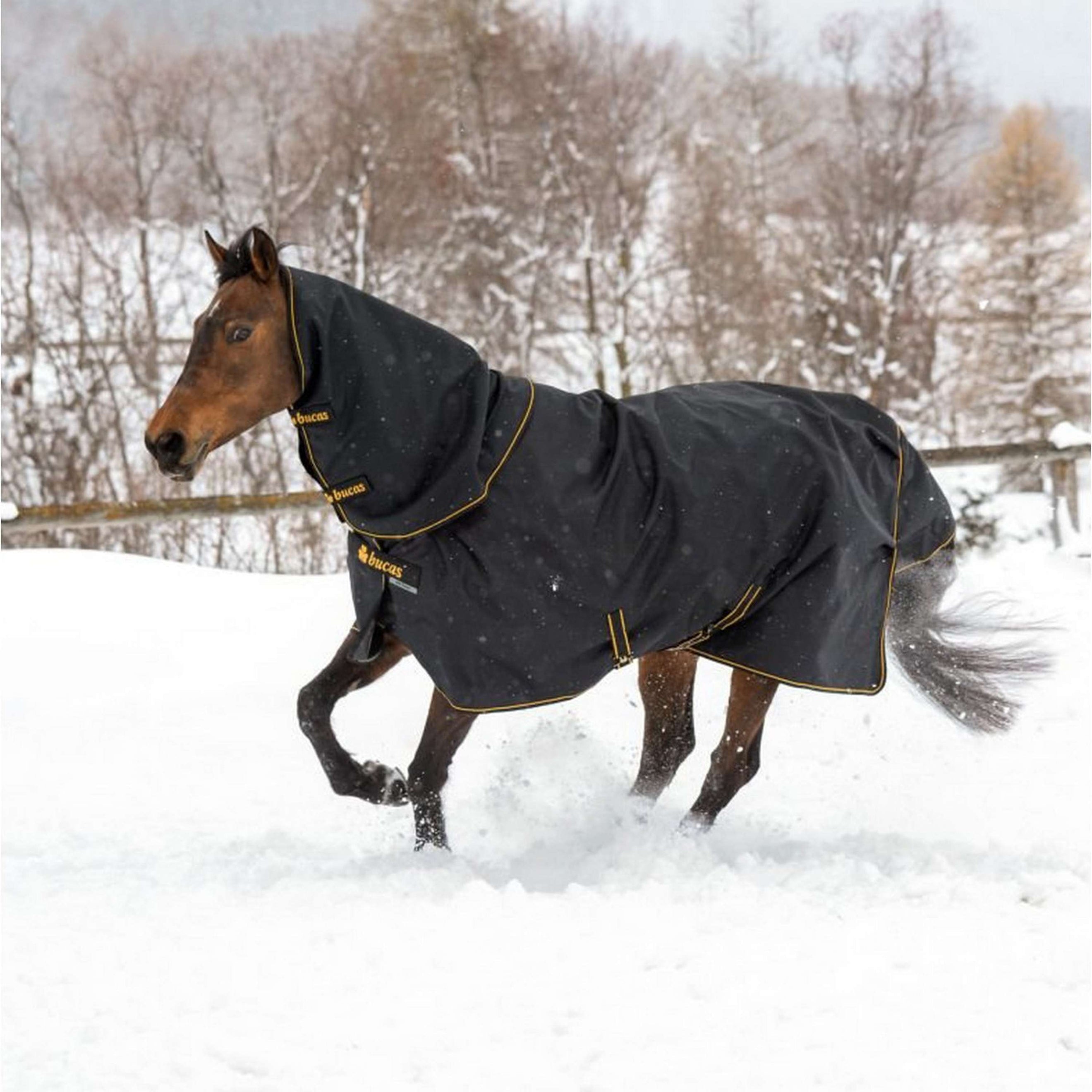 Bucas Irish Turnout Light 50g + Neck Black/Gold Bucas Irish Turnout Light 50g + Neck Black/Gold