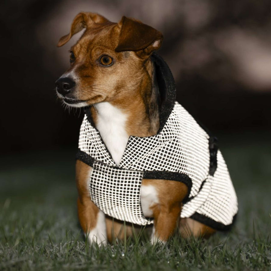 Bucas Dog Rug Reflectglow Reflectglow