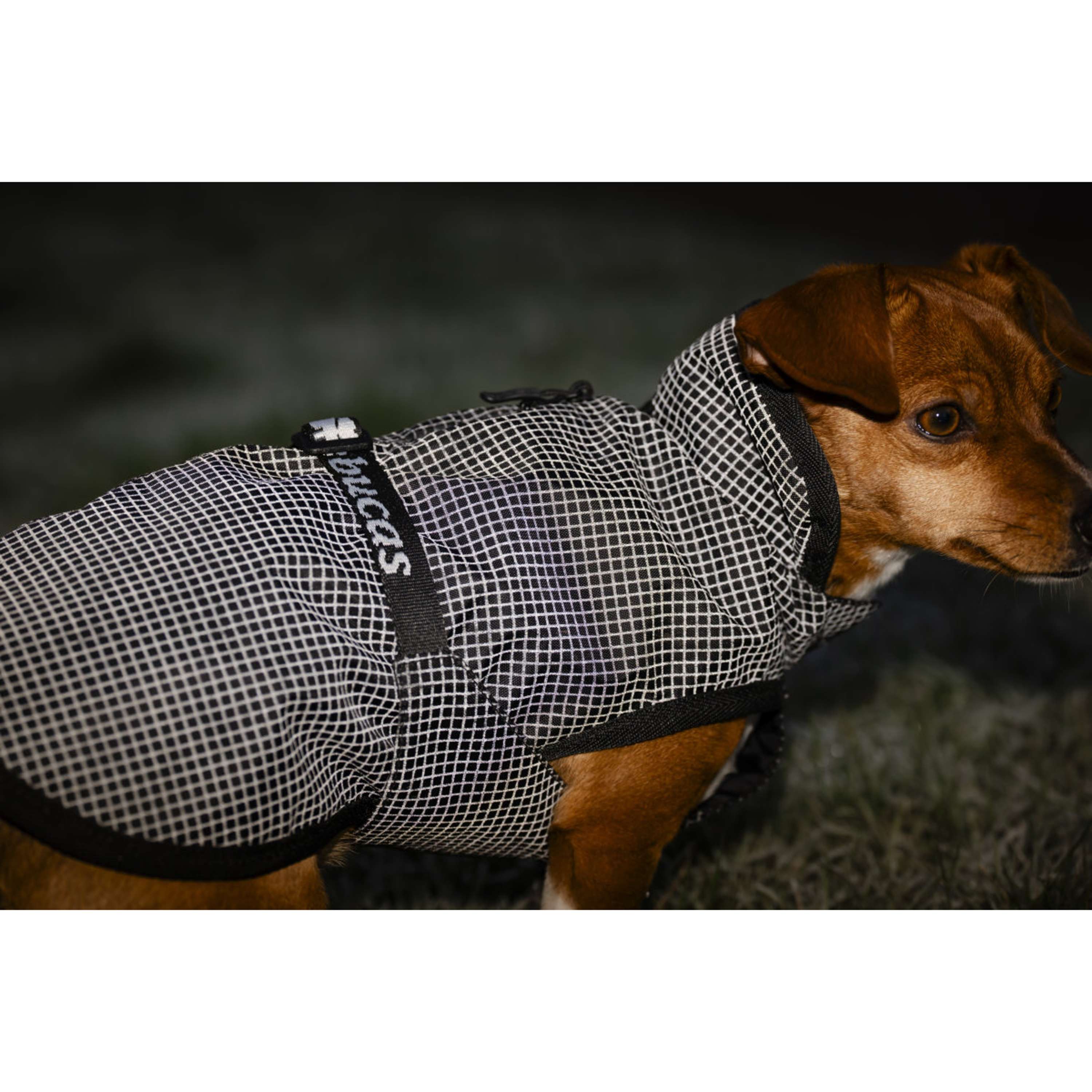 Bucas Dog Rug Reflectglow Reflectglow