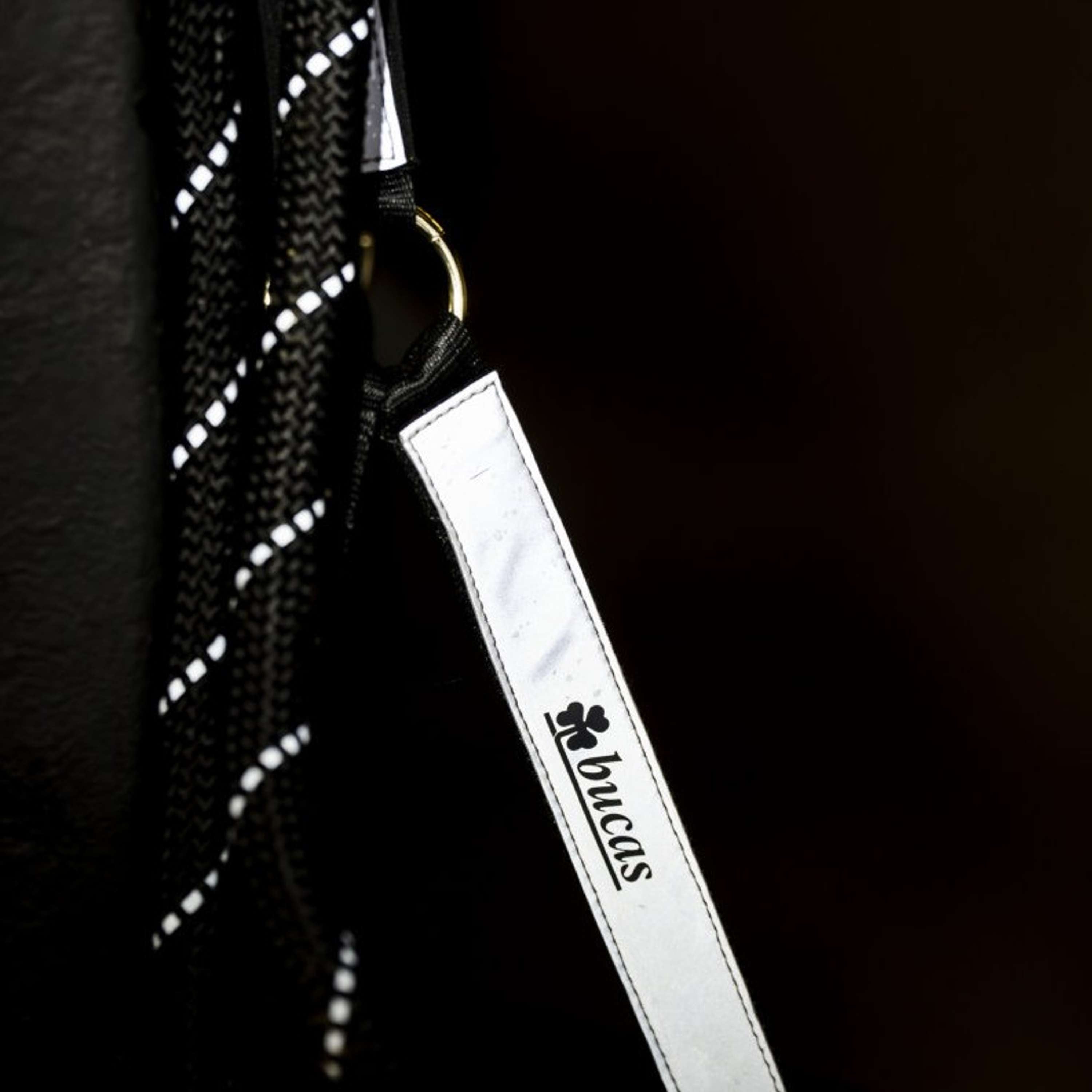 Bucas Lead Rope Reflectglow with Carabiner Reflectglow