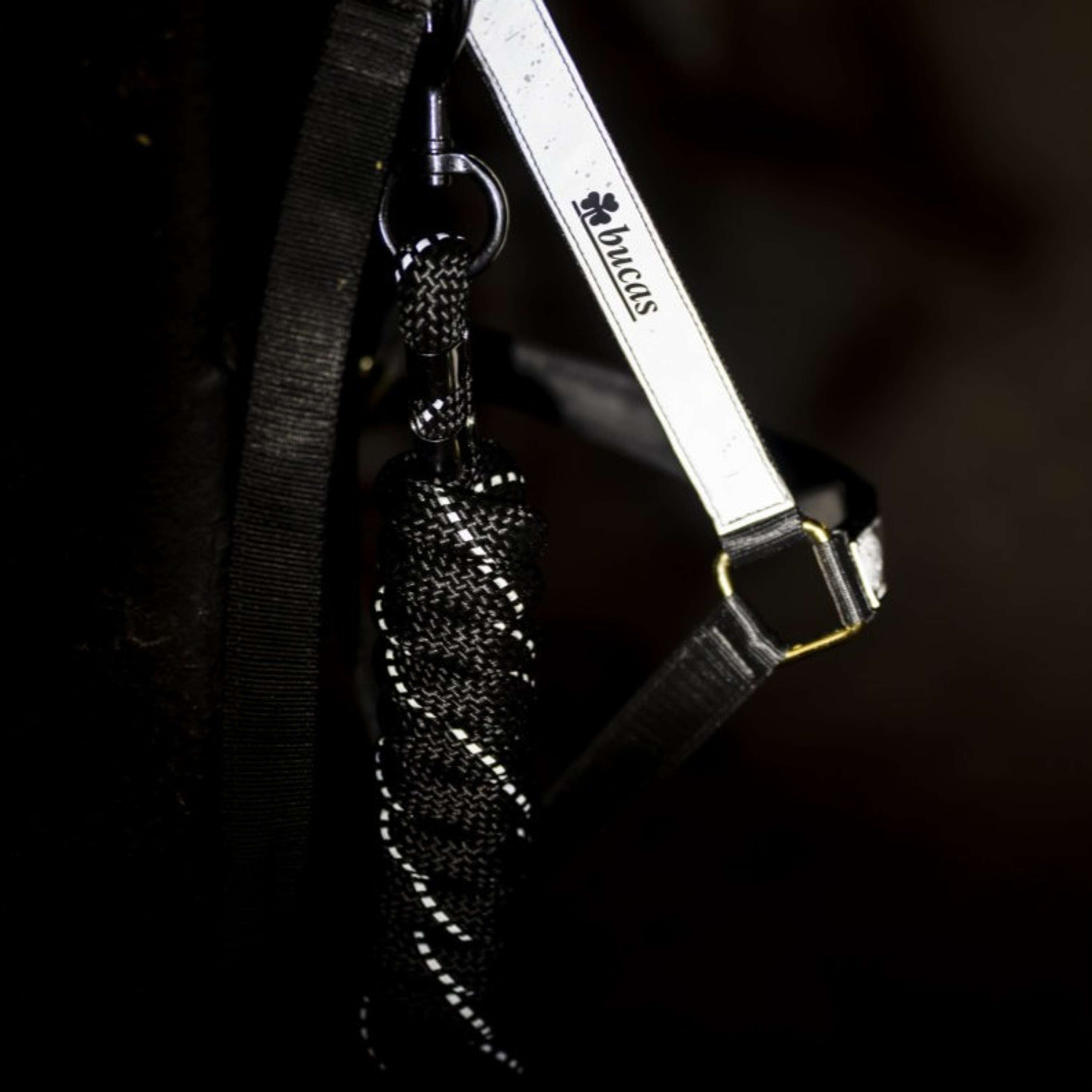 Bucas Lead Rope Reflectglow with Carabiner Reflectglow