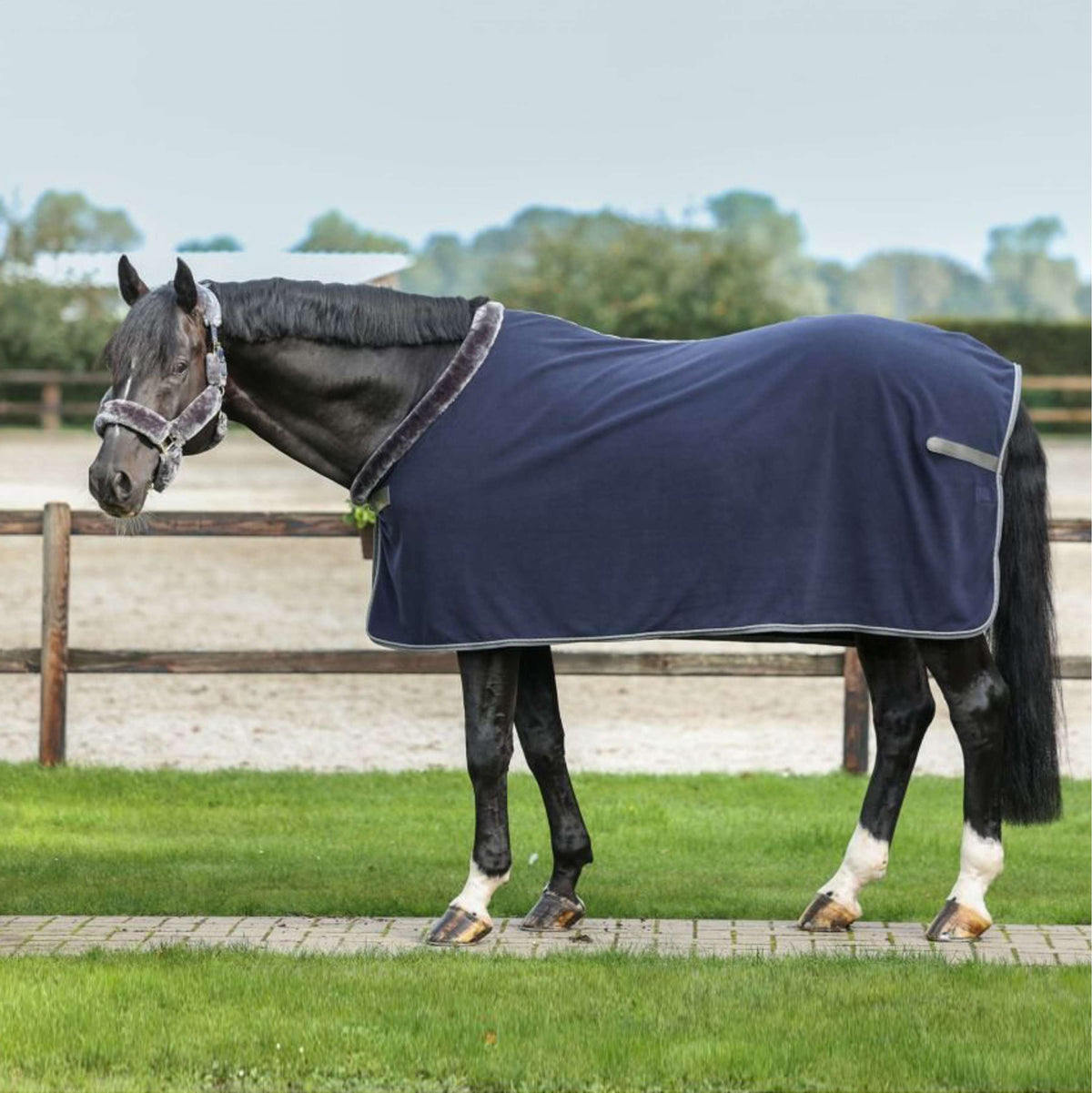 Bucas Sweat Rug Show-Line 400 Navy/Grey