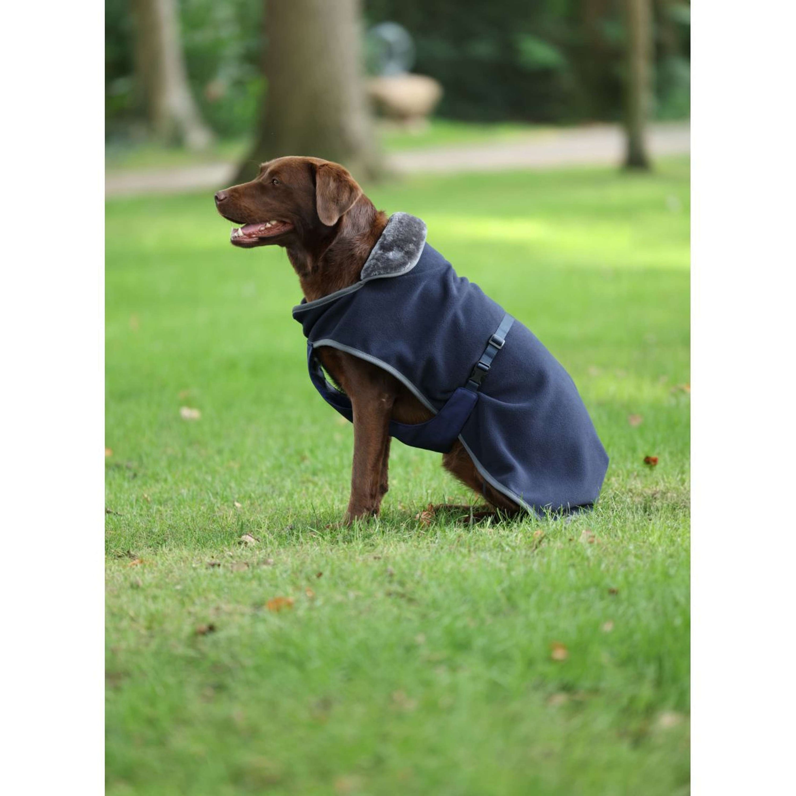 Bucas Dog Rug Show-Line Navy/Grey