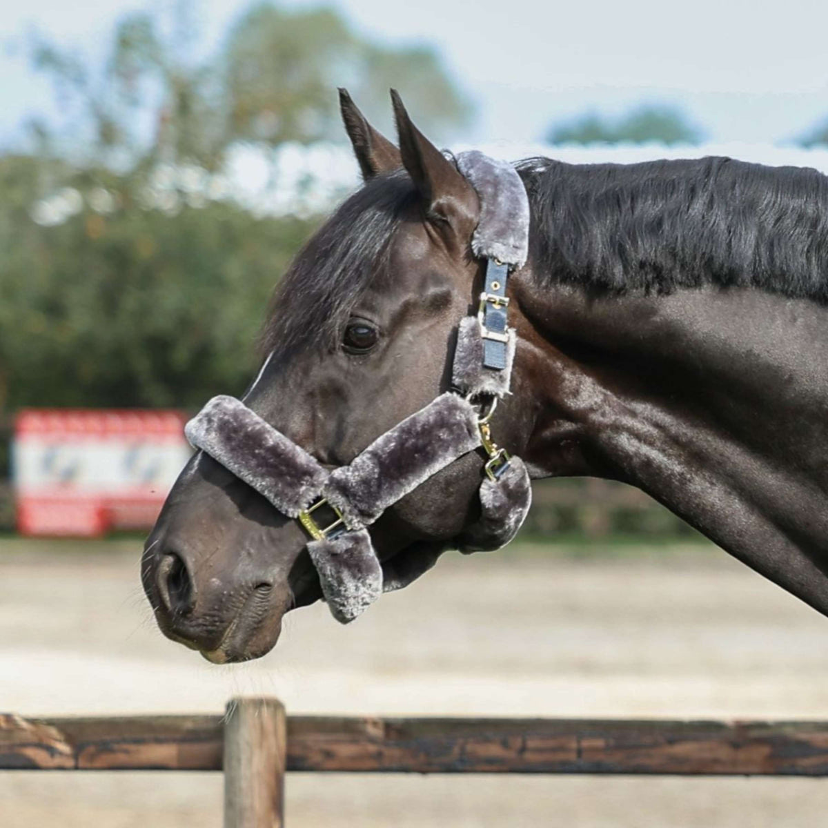 Bucas Halter Show-Line Fur Navy/Grey