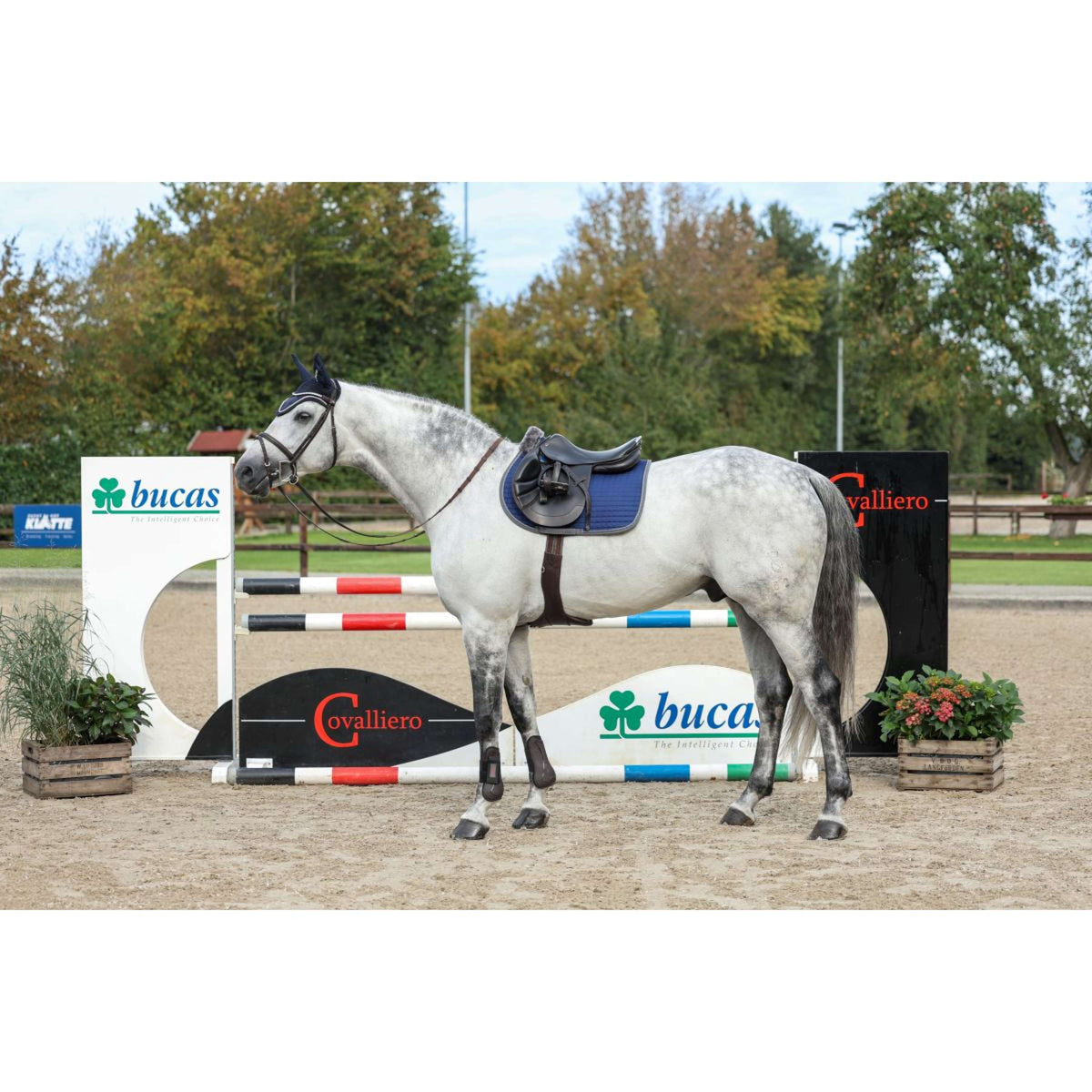 Bucas Saddlepad Show-Line Dressage Navy/Grey