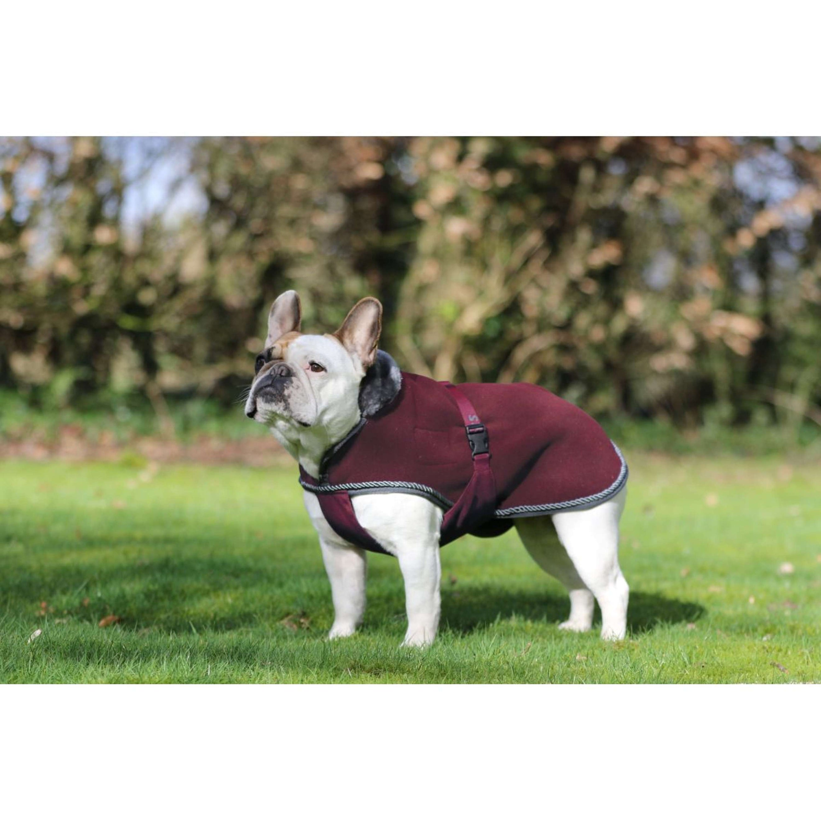 Bucas Dog Rug Show-Line Burgundy/Grey