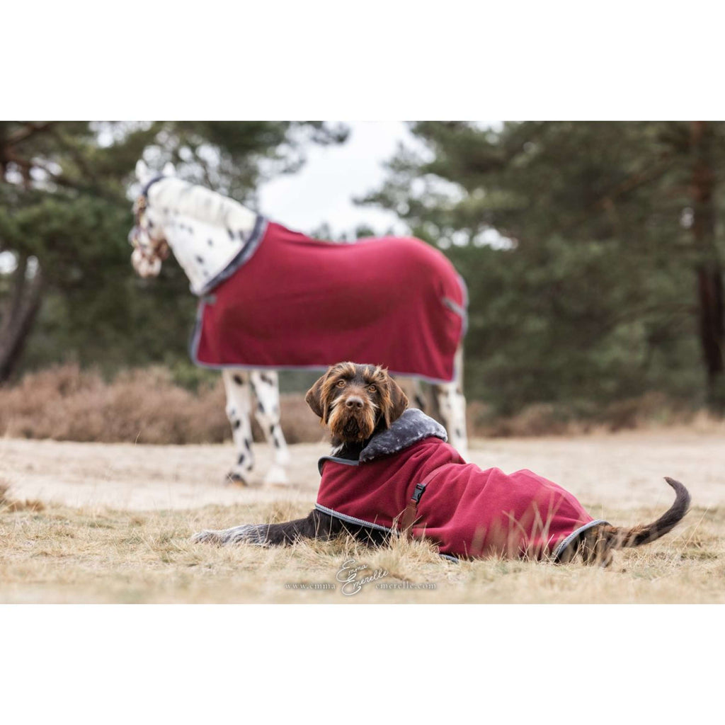 Bucas Dog Rug Show-Line Burgundy/Grey