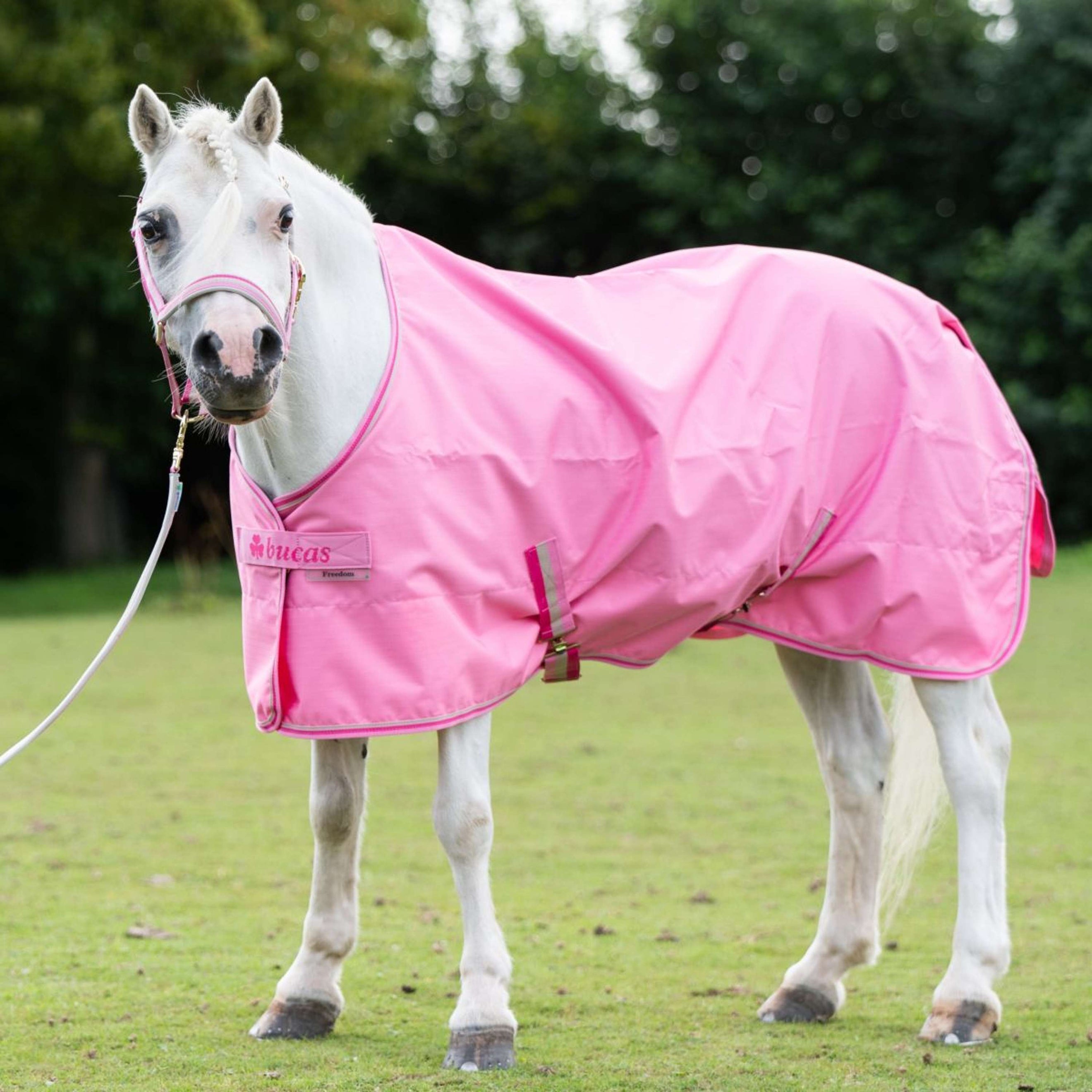 Bucas Freedom Turnout Light 0g Aurora Pink