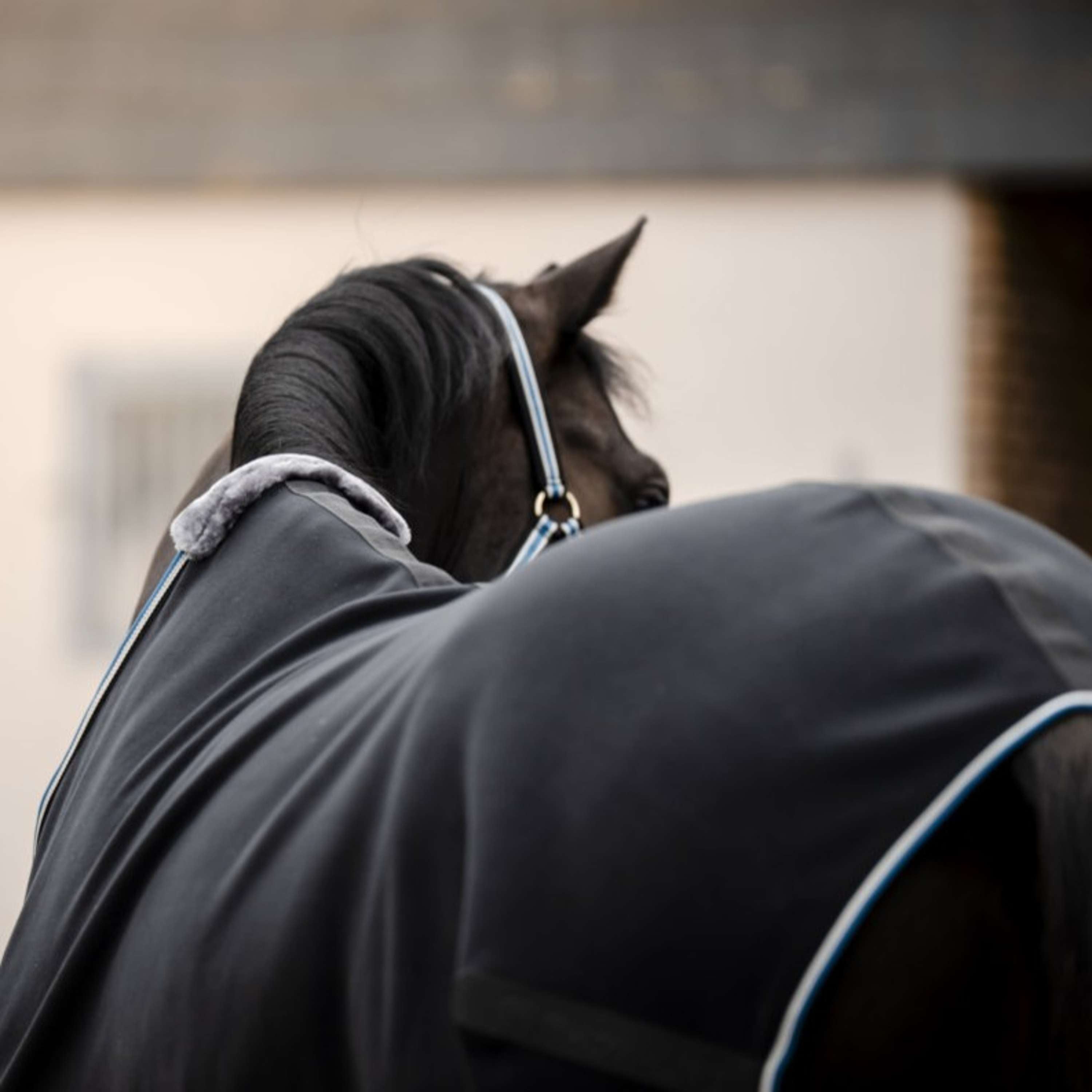 Bucas Anniversary Fleece Rug Exercise 400g Sapphire