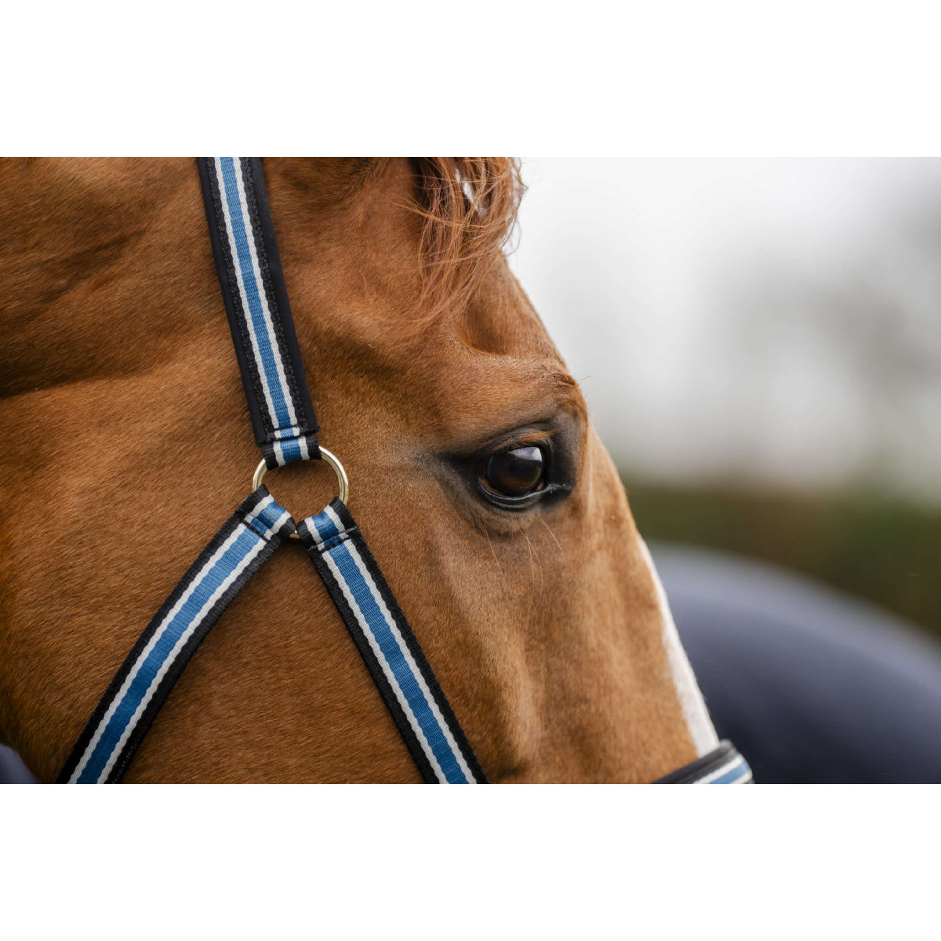 Bucas Anniversary Halter Dublin Sapphire