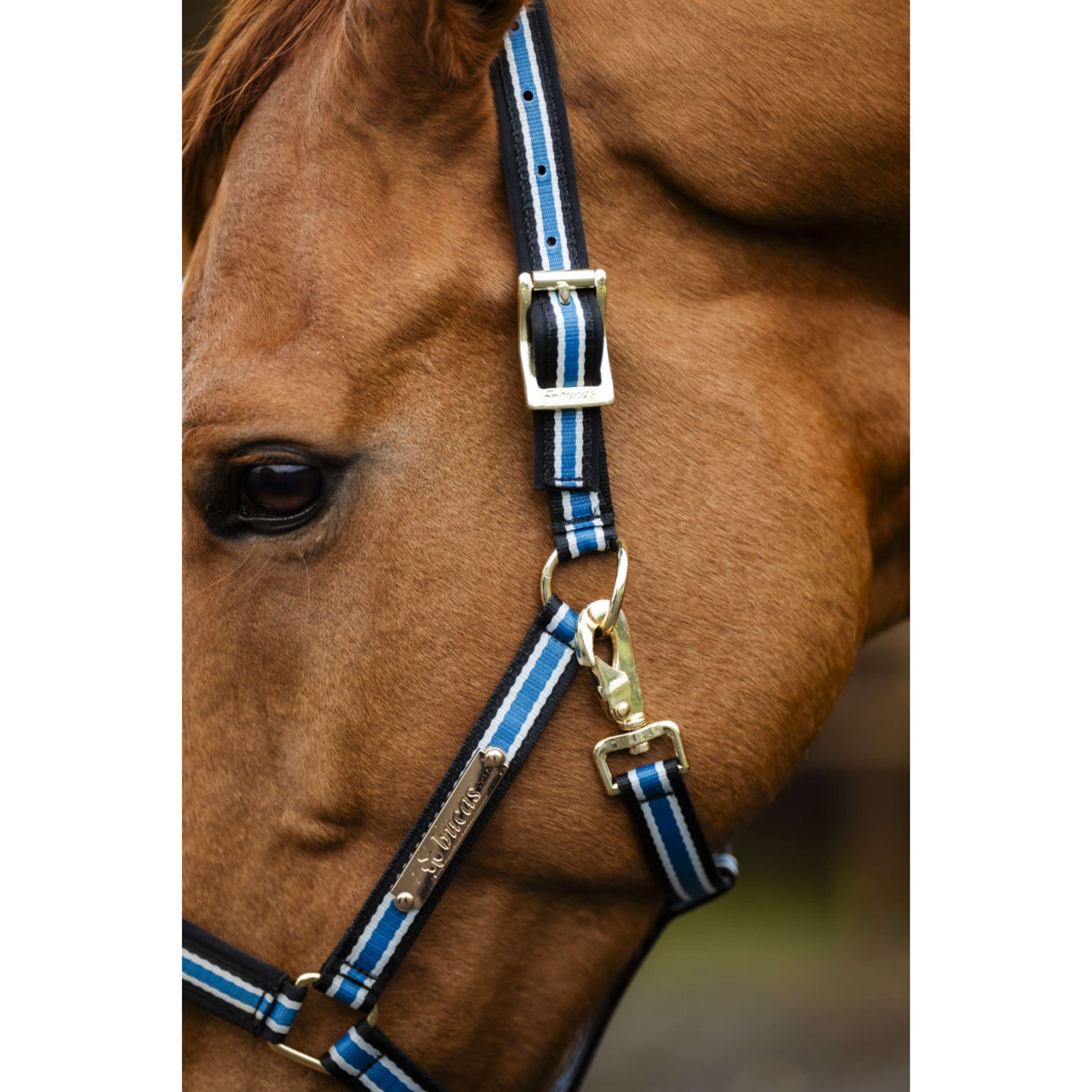 Bucas Anniversary Halter Dublin Sapphire