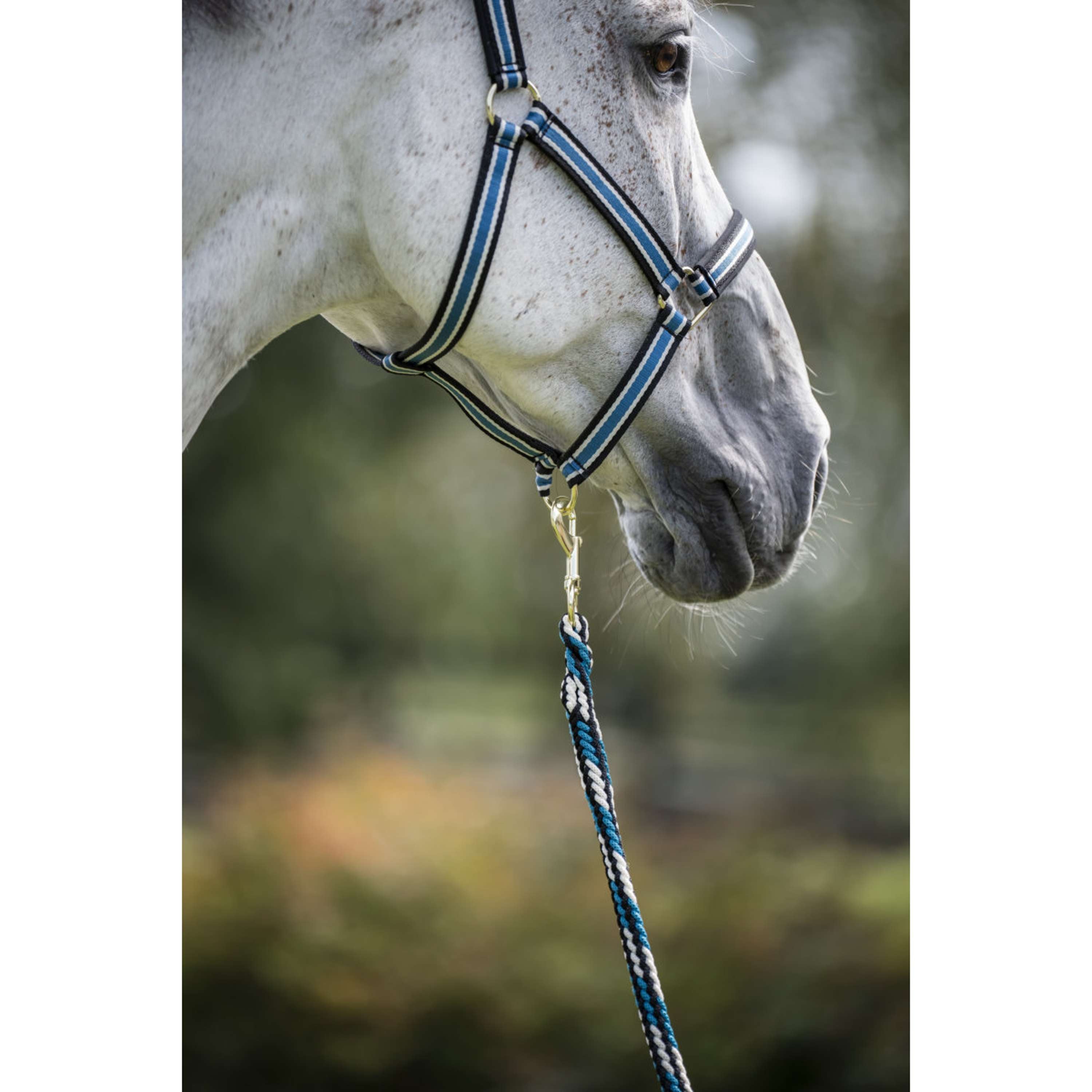 Bucas Anniversary Halter Dublin Sapphire